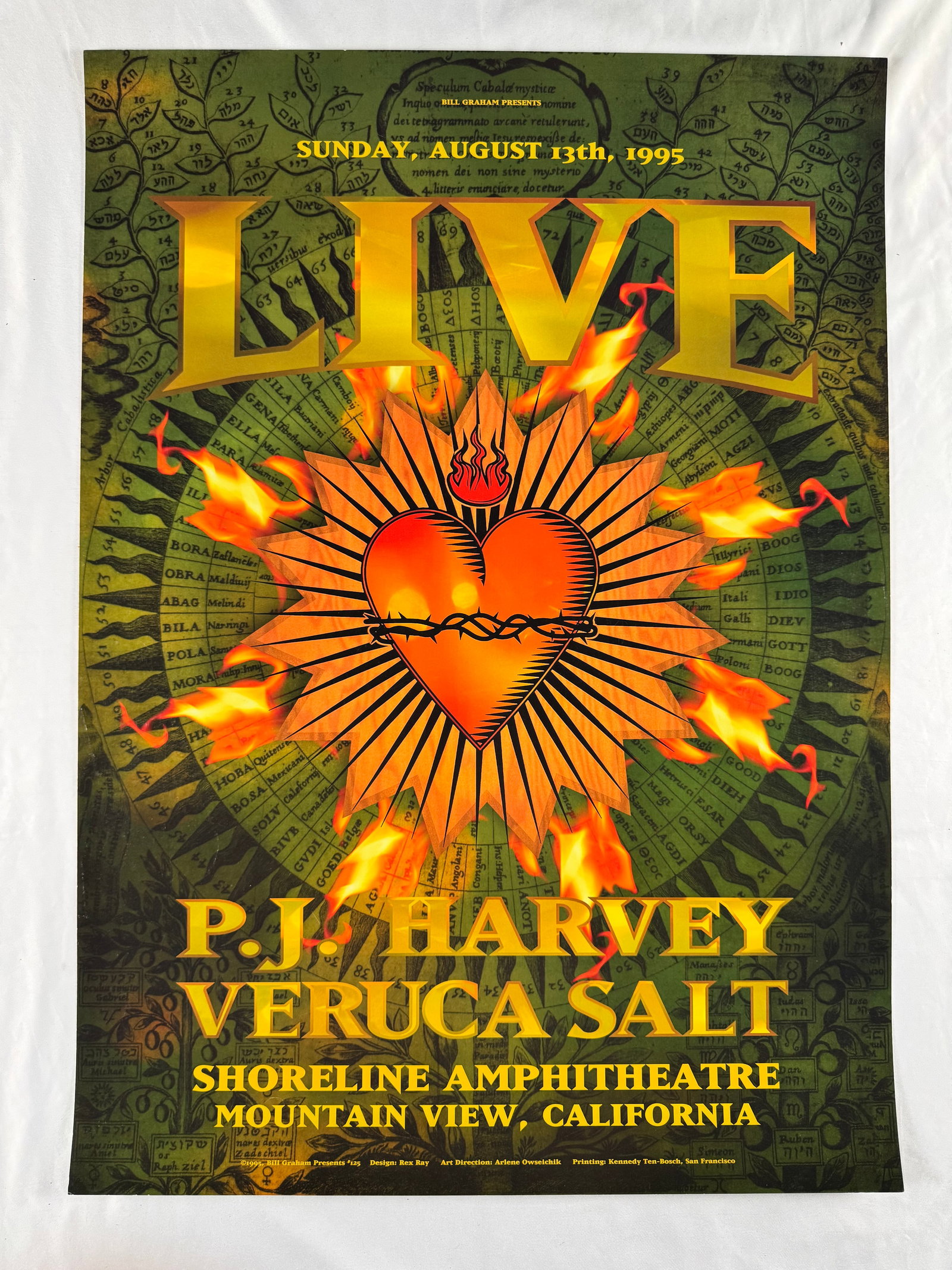 Live PJ Harvey Veruca Salt Shoreline Amphitheatre August 1995 Concert Poster (1 of 5)
