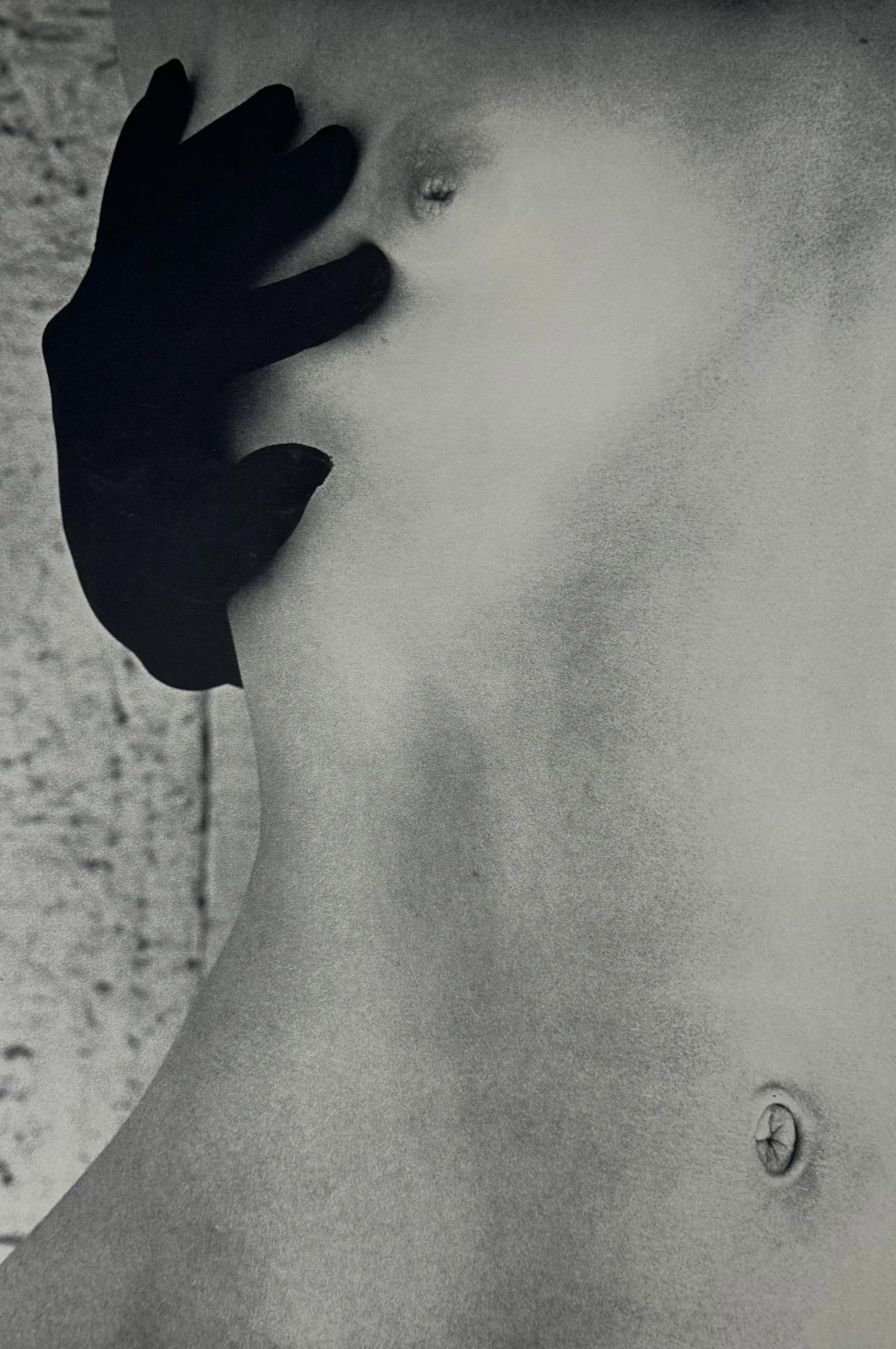 Harvey Edwards Black and White Nude Torso Photograph Close Up Study 25x38" (1 of 5)