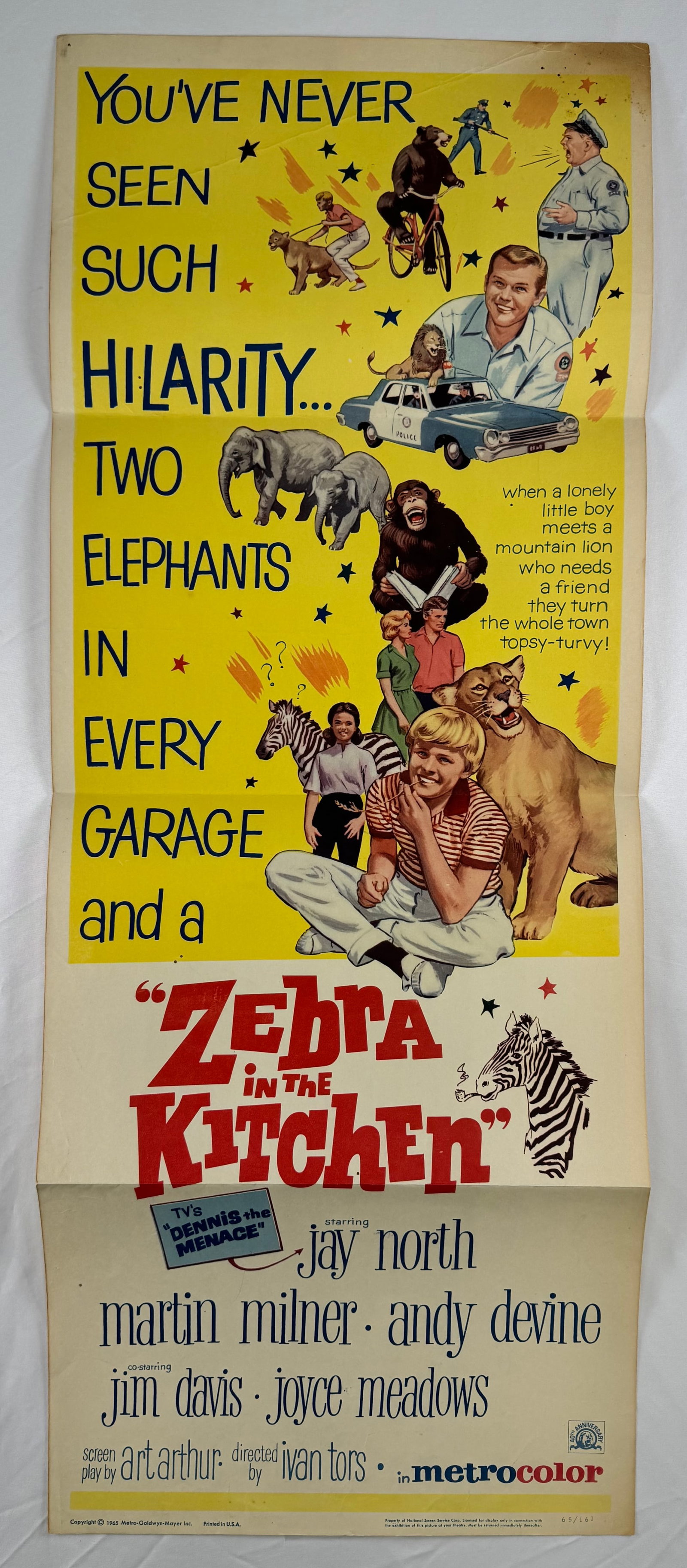 Zebra in the Kitchen (1965) Original Insert Movie Poster 14x36 Ivan Tors Jay North: Zebra in the Kitchen is a 1965 family comedy directed by Ivan Tors and starring Jay North, Martin Milner, and Andy Devine. This insert poster measures approximately 14 x 36 inches and features illustr