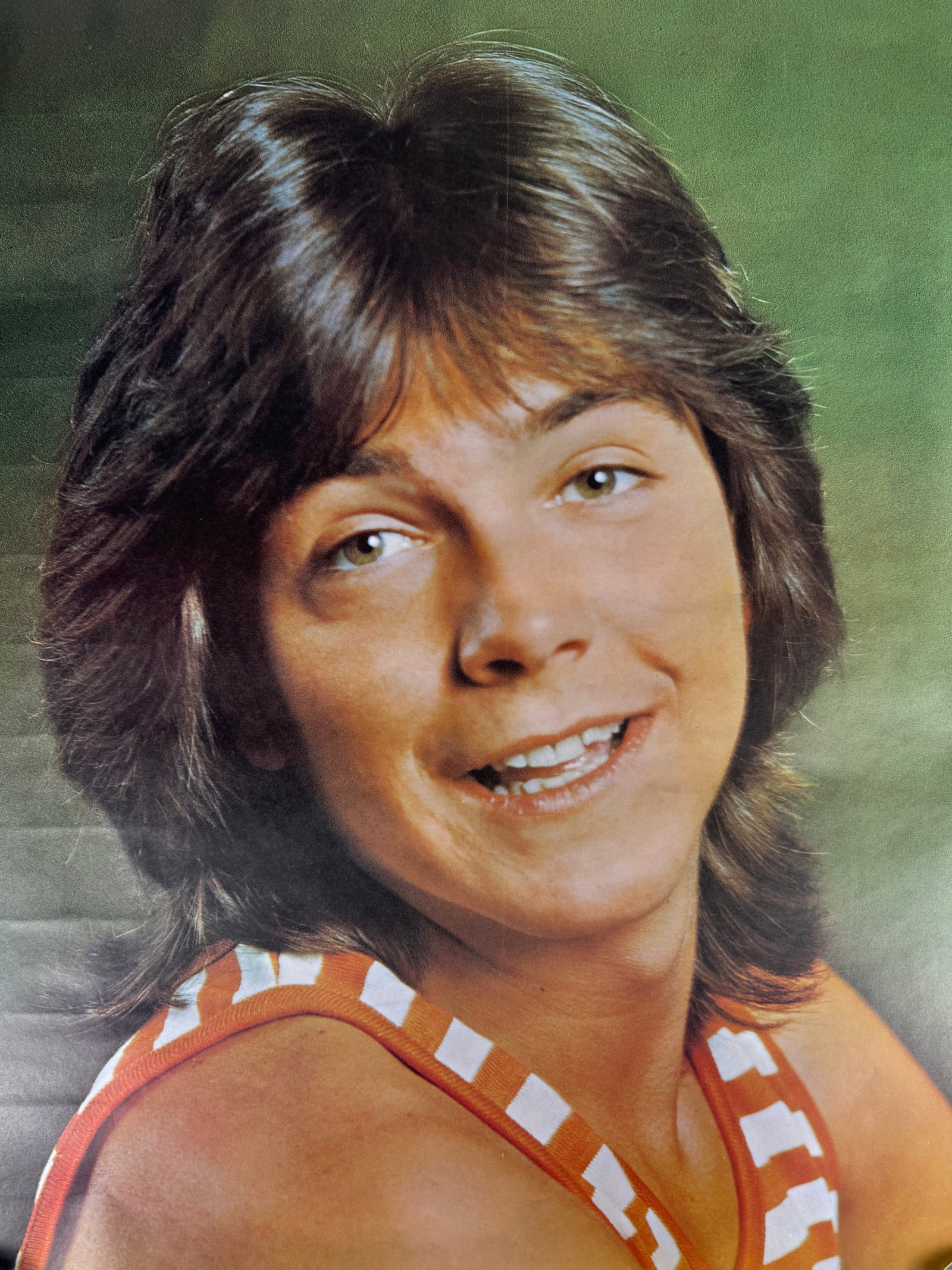 David Cassidy 1972 Original Vintage Teen Idol Portrait Poster Stripes (1 of 6)