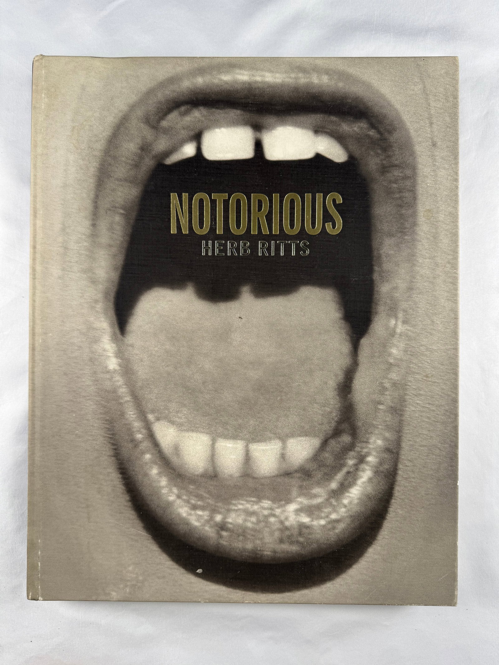 Herb Ritts Notorious 2004 Hardcover Photography Fashion Celeb Portrait Fine Art Nudes Madonna Prince: Hardcover photography book titled Notorious by Herb Ritts. Published in 2004.