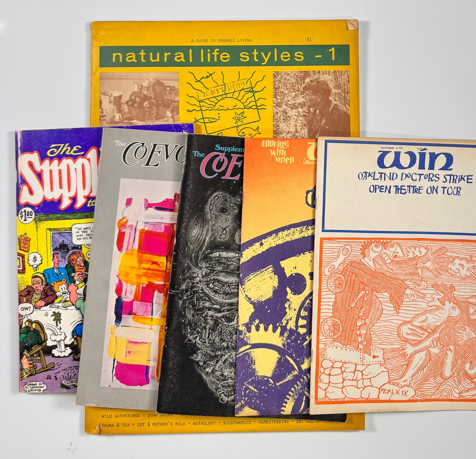 Lot of 6 Natural Life Styles CoEvolution Quarterly WIN Underground Magazine Group 1970s (1 of 7)