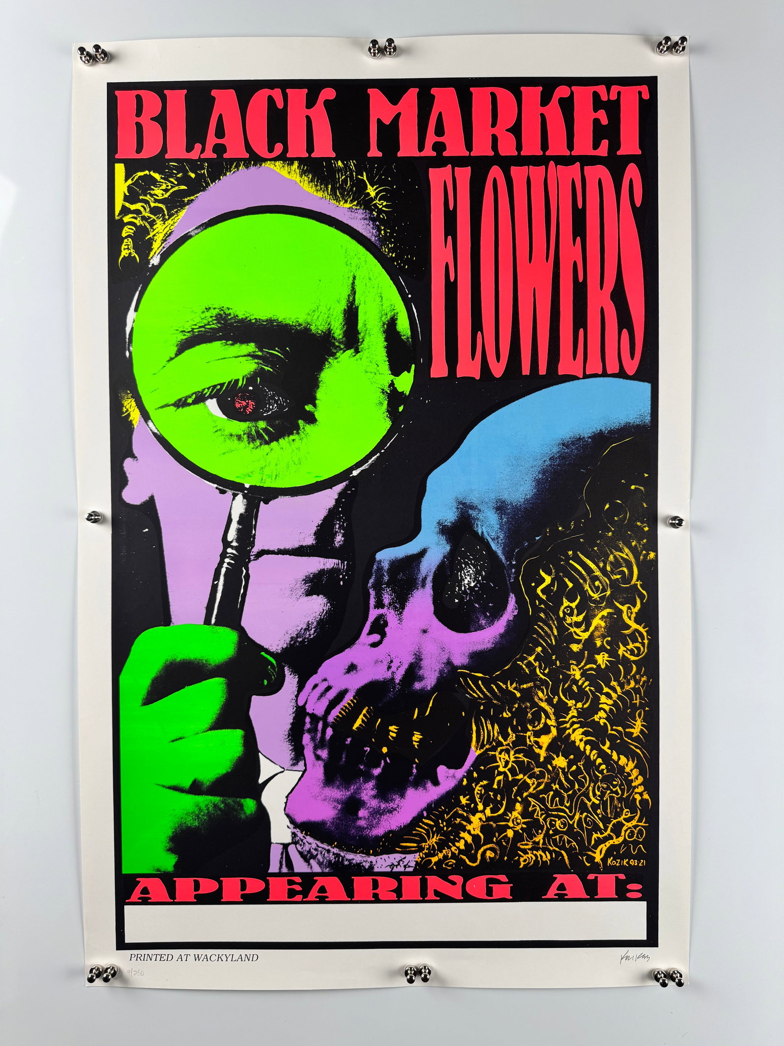 Black Market Flowers Frank Kozik 1993 Wackyland Psychedelic Concert Poster Blank Venue (1 of 5)