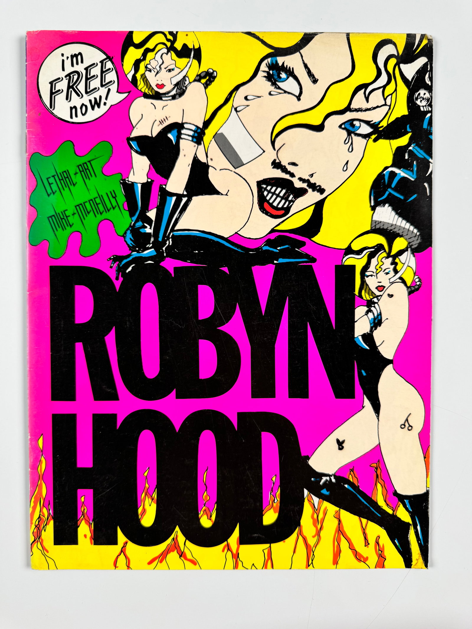 Mike McNeilly Robyn Hood Bubblehead Lethal Art 1990s Illustrated Graphic Art Comic Book (1 of 4)