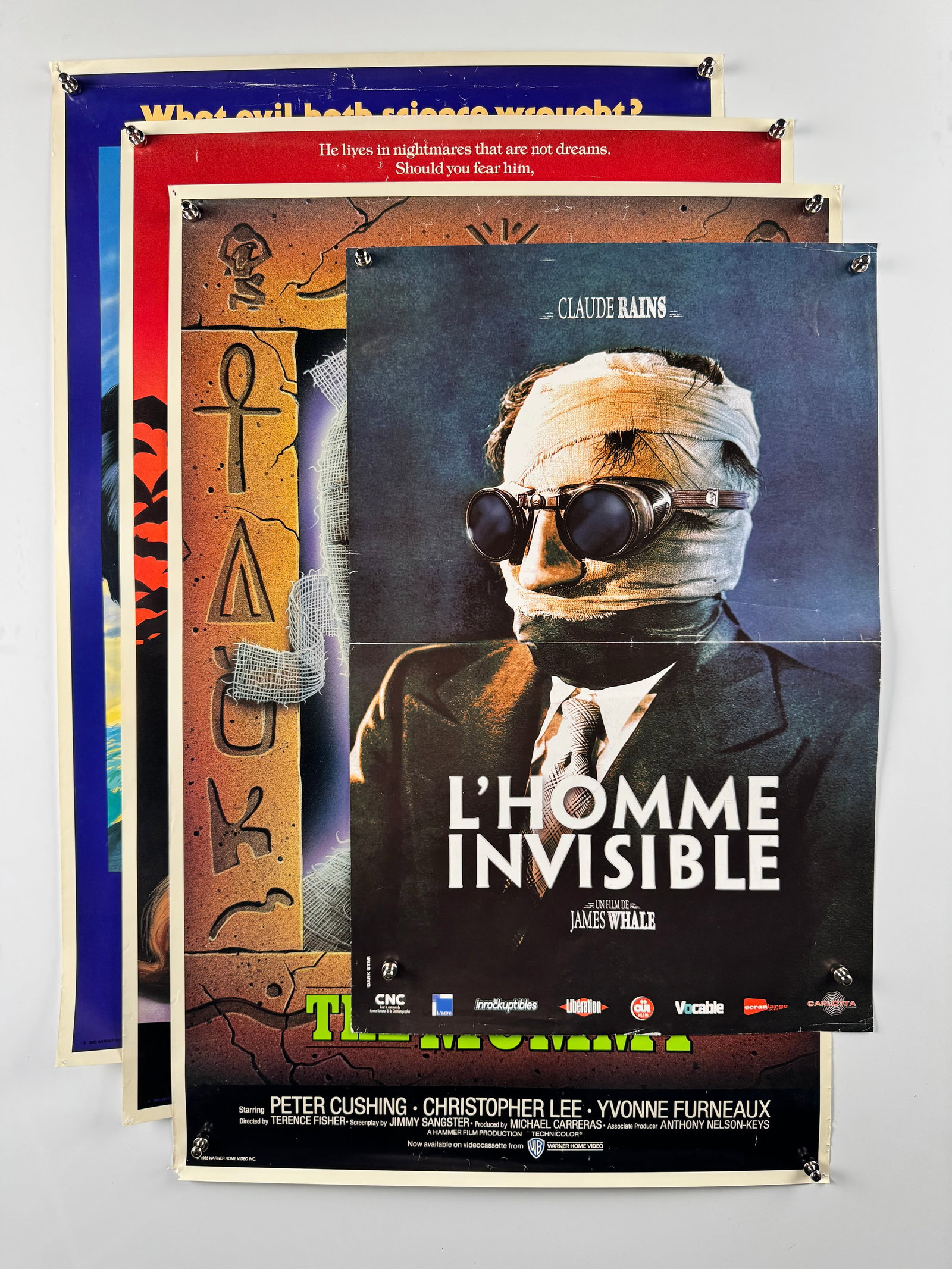 Horror Sci-Fi Movie Poster Collection Lot of 9 Hammer Blood Beach Frogs Parasite Thai (1 of 13)