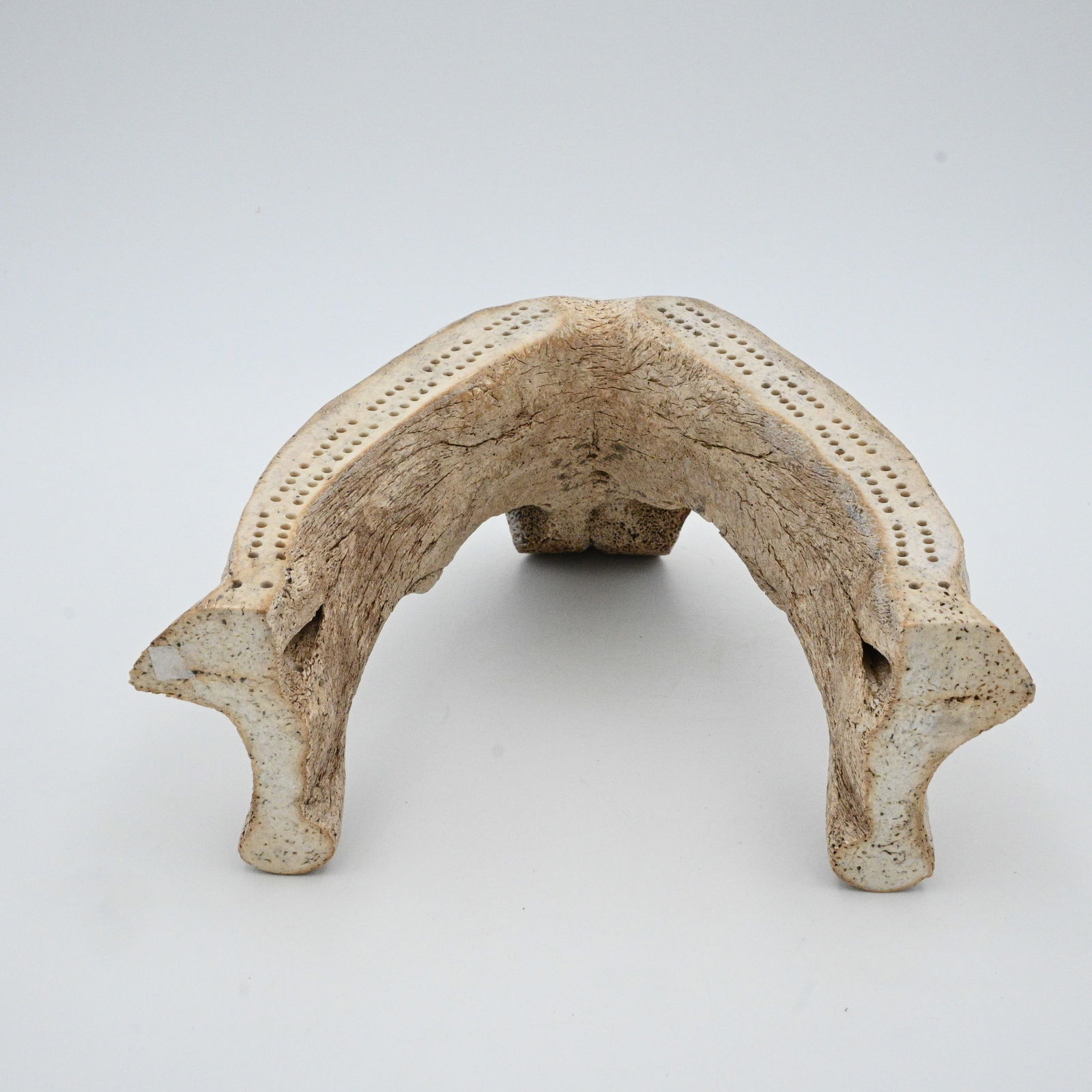 Bone Cribbage Board Face Sculpture - 3