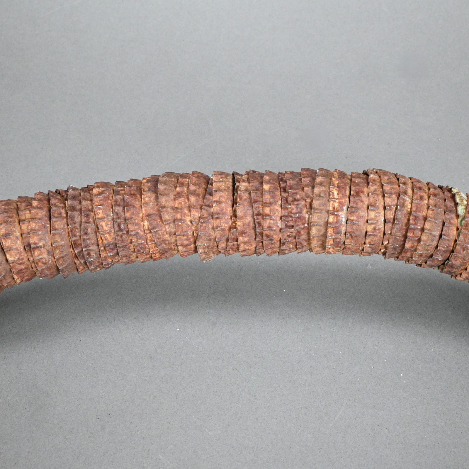 Anonymous. Bottle Cap Snake - 4