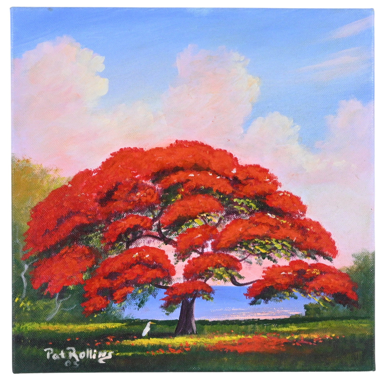 Pat Rollins. Red Poinciana Tree: Pat Rollins. Red Poinciana Tree. 2005. Signed and Dated. Oil on canvas. Florida Highwayman style. Excellent condition. Size: 12" H x 12" W. Provenance: Private Georgia Collection (30+ years). Est.