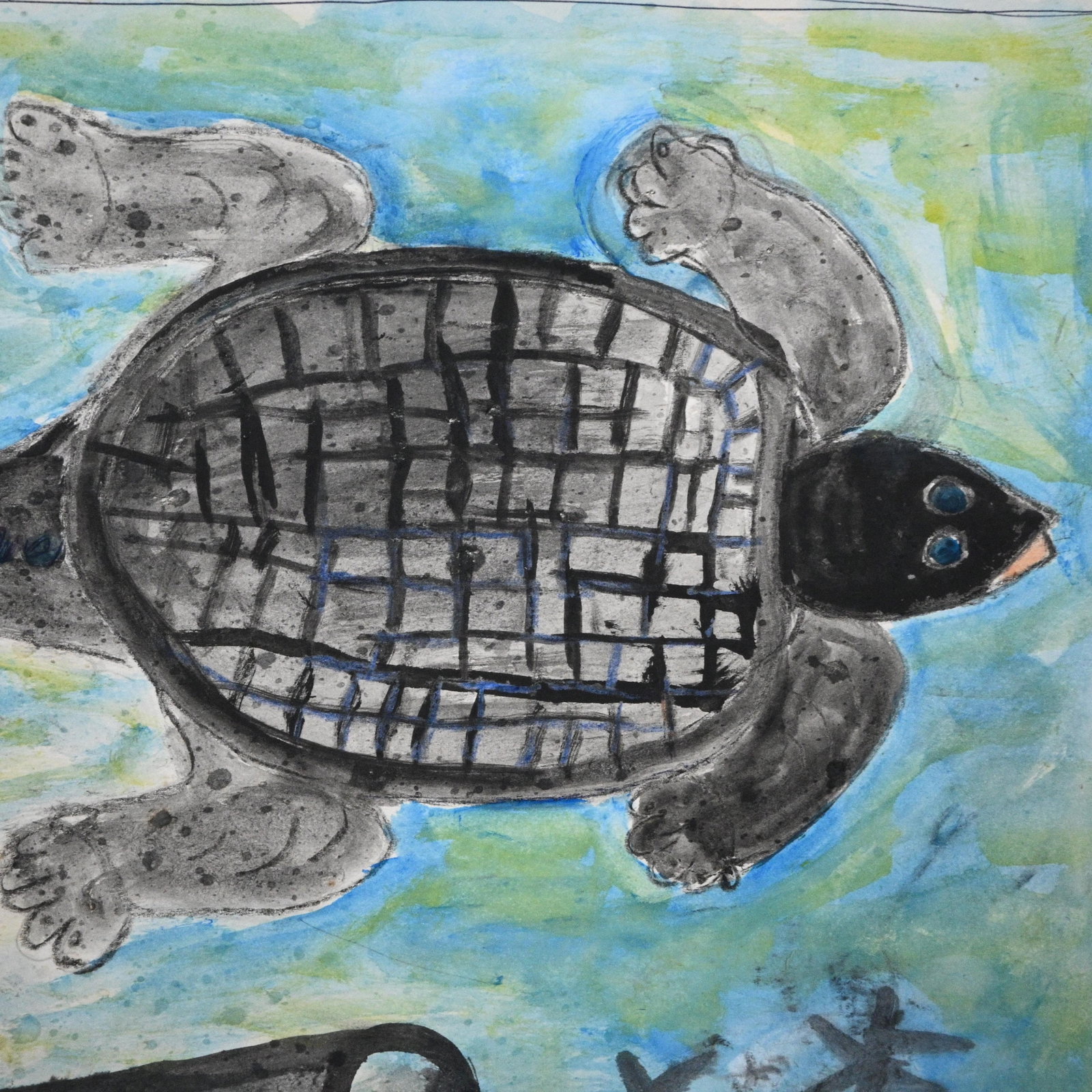 MC 5 Cent Jones. Turtle Drawing - 3