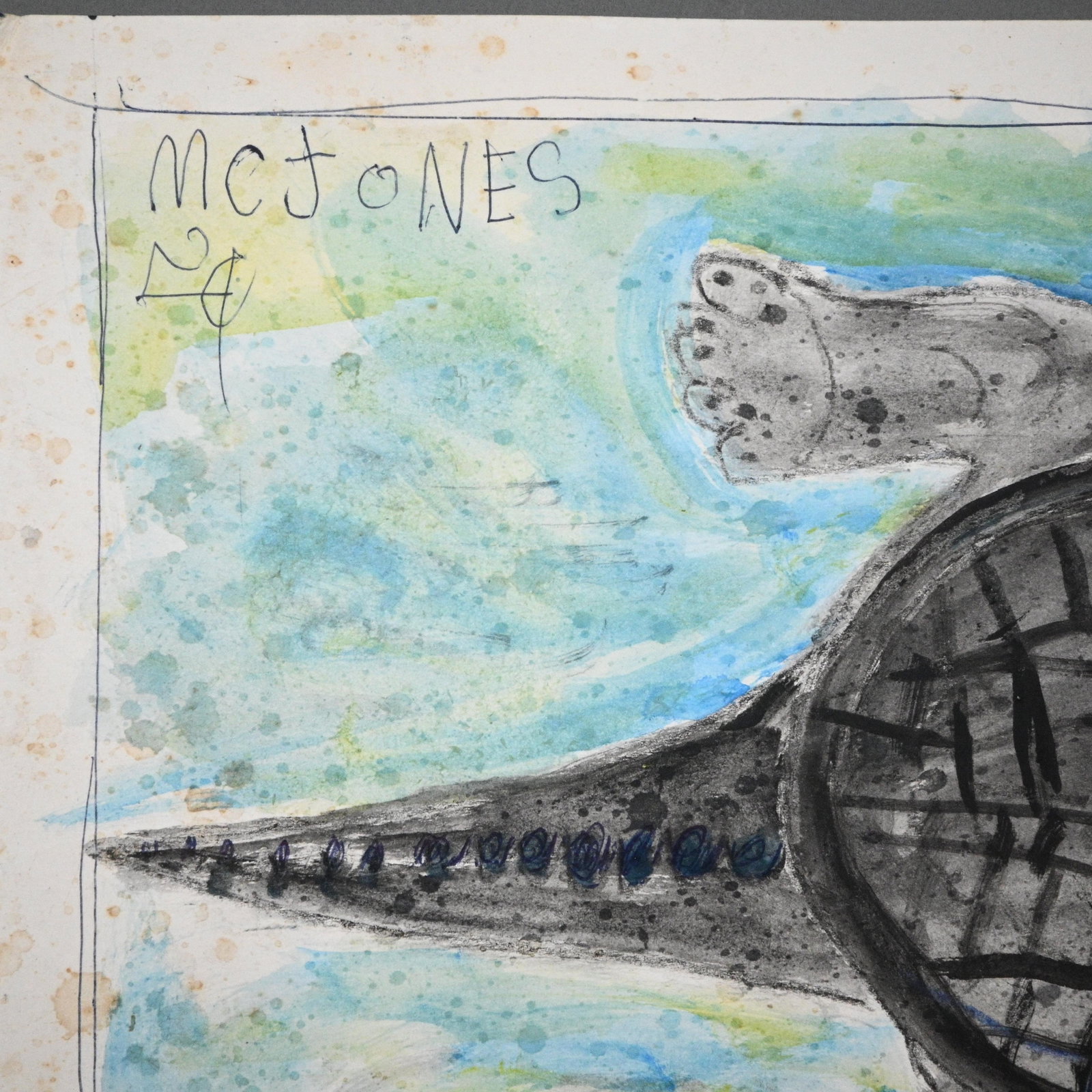 MC 5 Cent Jones. Turtle Drawing - 5