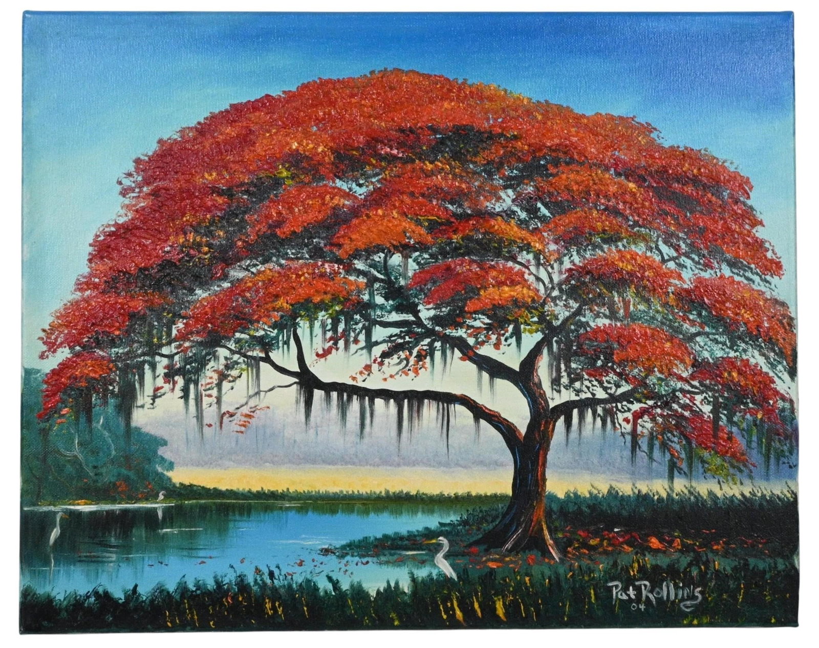 Pat Rollins. Royal Poinciana with Spanish Moss (1 of 6)