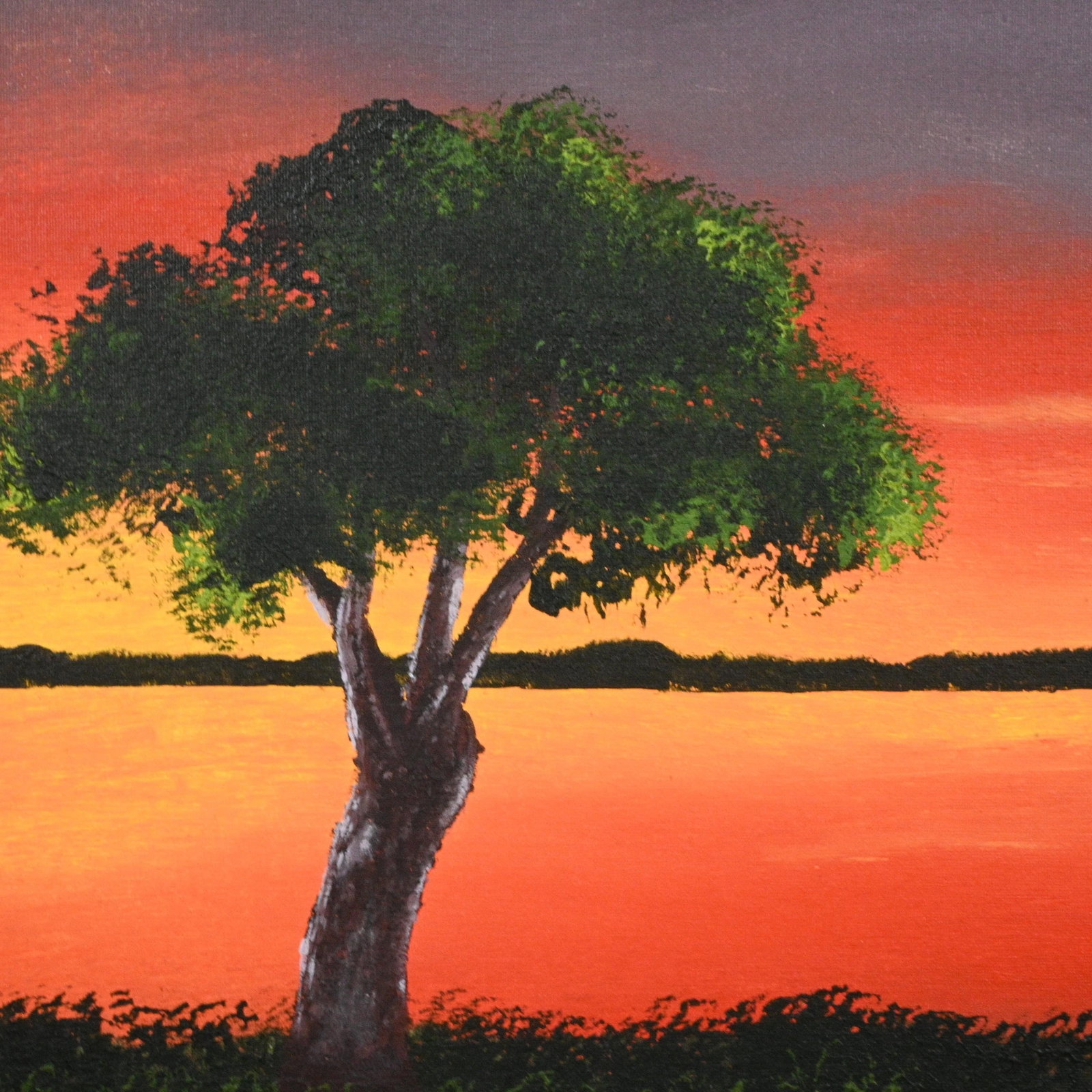 Douglas Moore. Palms at Sunset - 2
