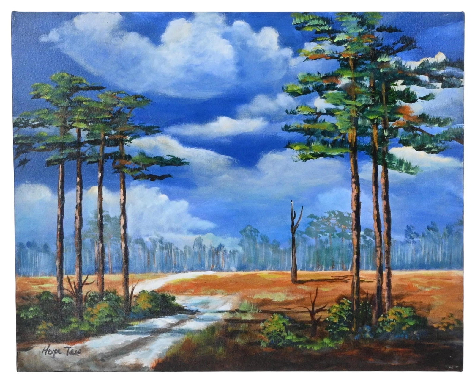 Hope Tew. Storm Clouds Over the Pine Barrens (1 of 5)