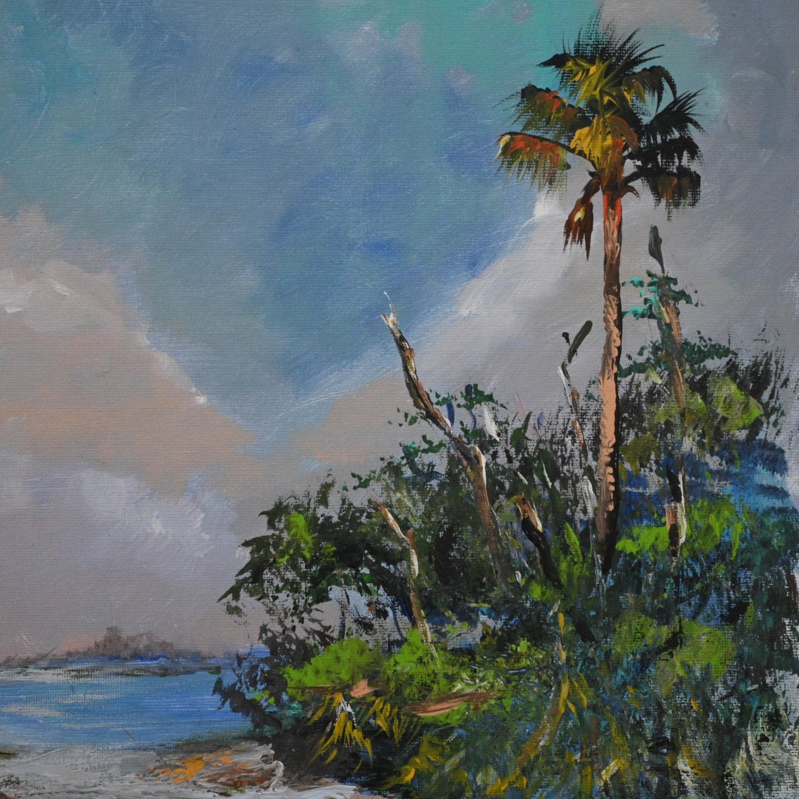 Jerry DeVane. Florida Backwater with Palms - 3