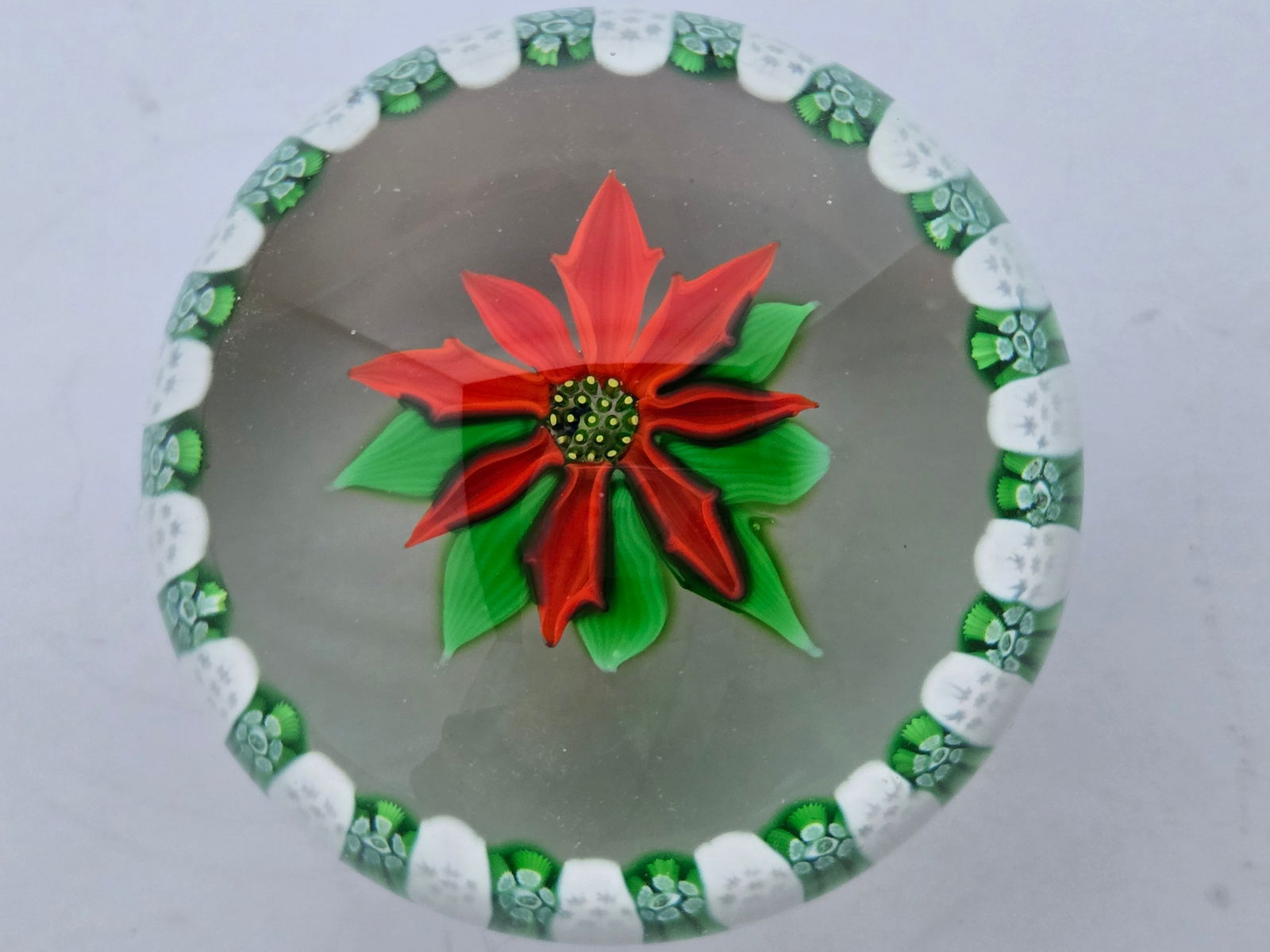 Perthshire - Christmas Poinsettia (1 of 2)