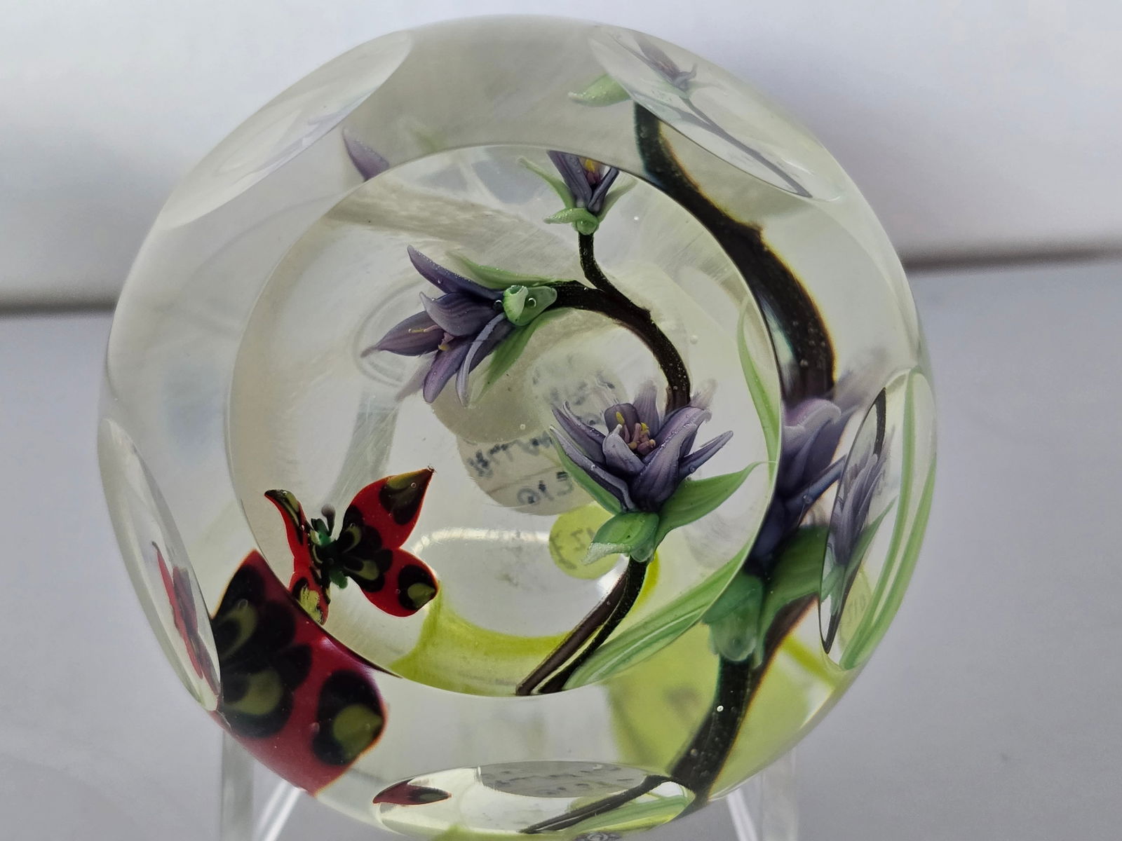 Allan Scott - Butterfly Swirl (1 of 3)