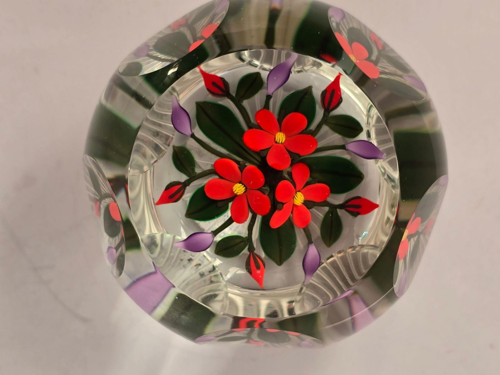 Perthshire - Scarlet Pimpernel (1 of 3)