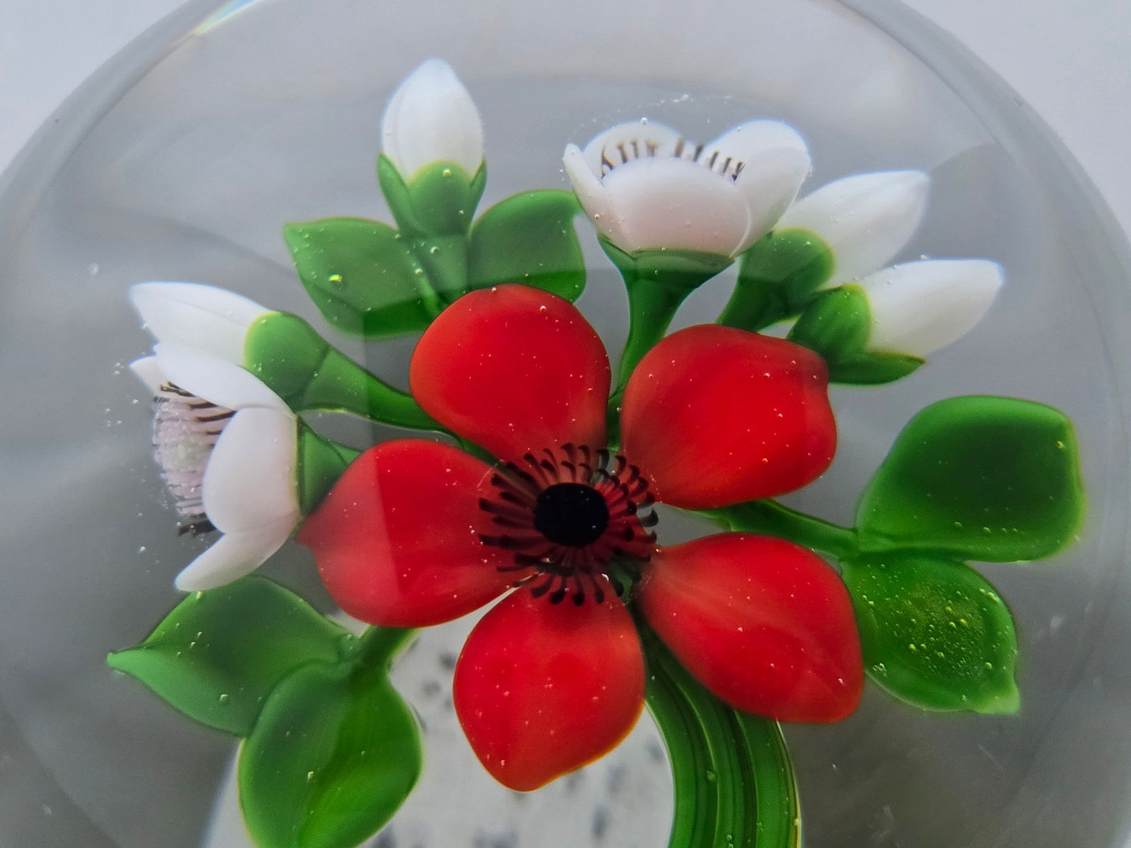 David & John Trabucco - Bouquet (1 of 3)