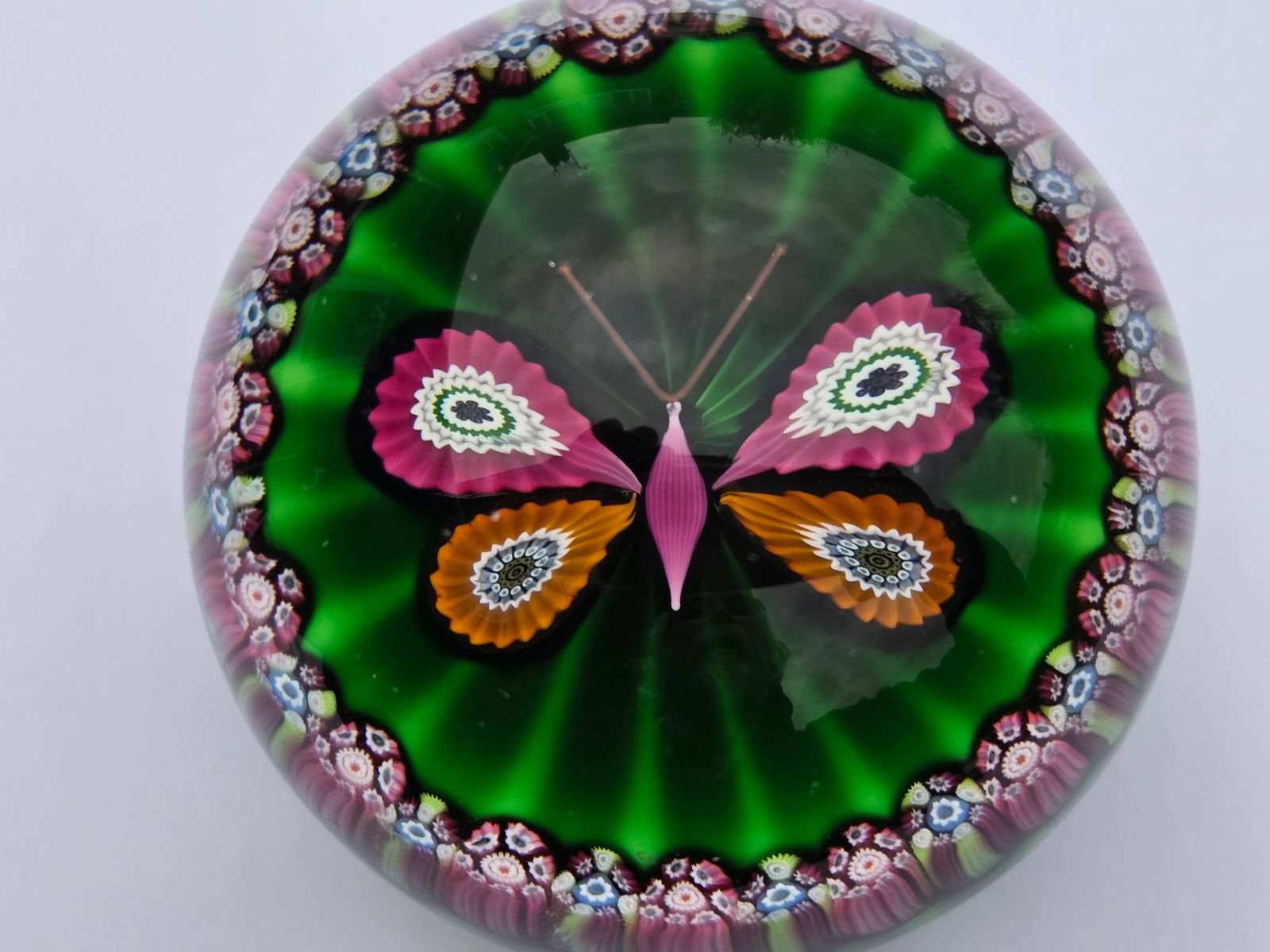 Perthshire - Butterfly (1 of 4)