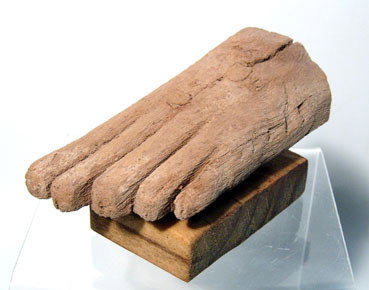 Egypt, Middle Kingdom, 1980 – 1630 BC. A wooden left