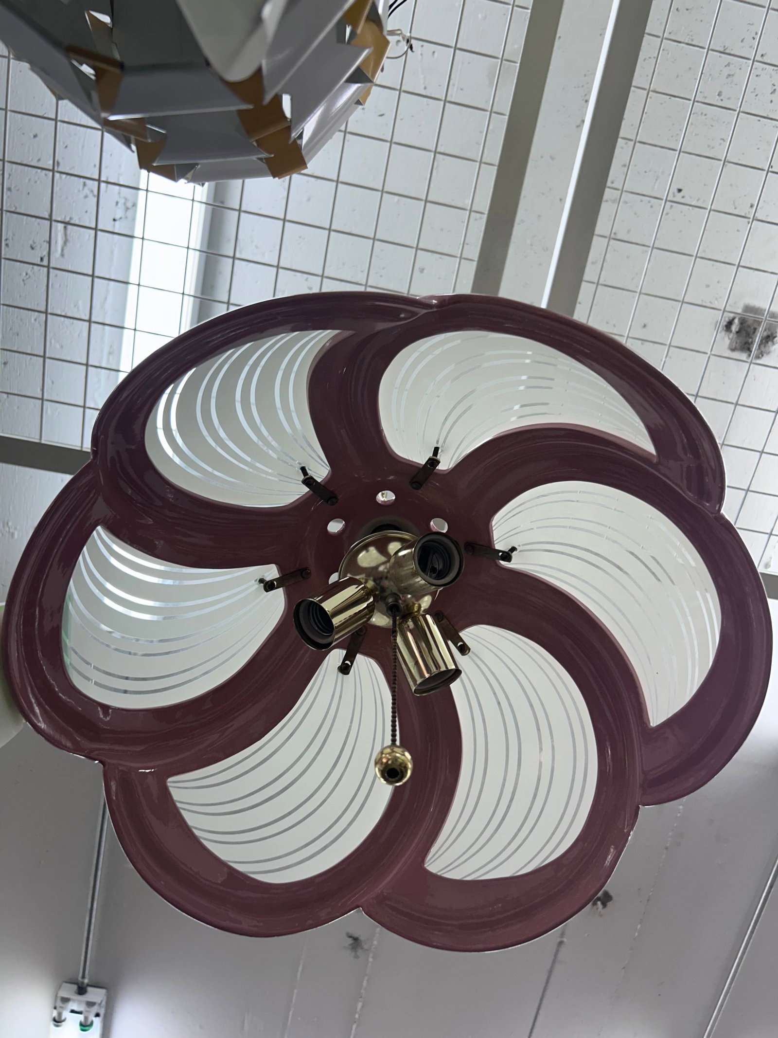 Chandelier light fixture: Chandelier light fixture