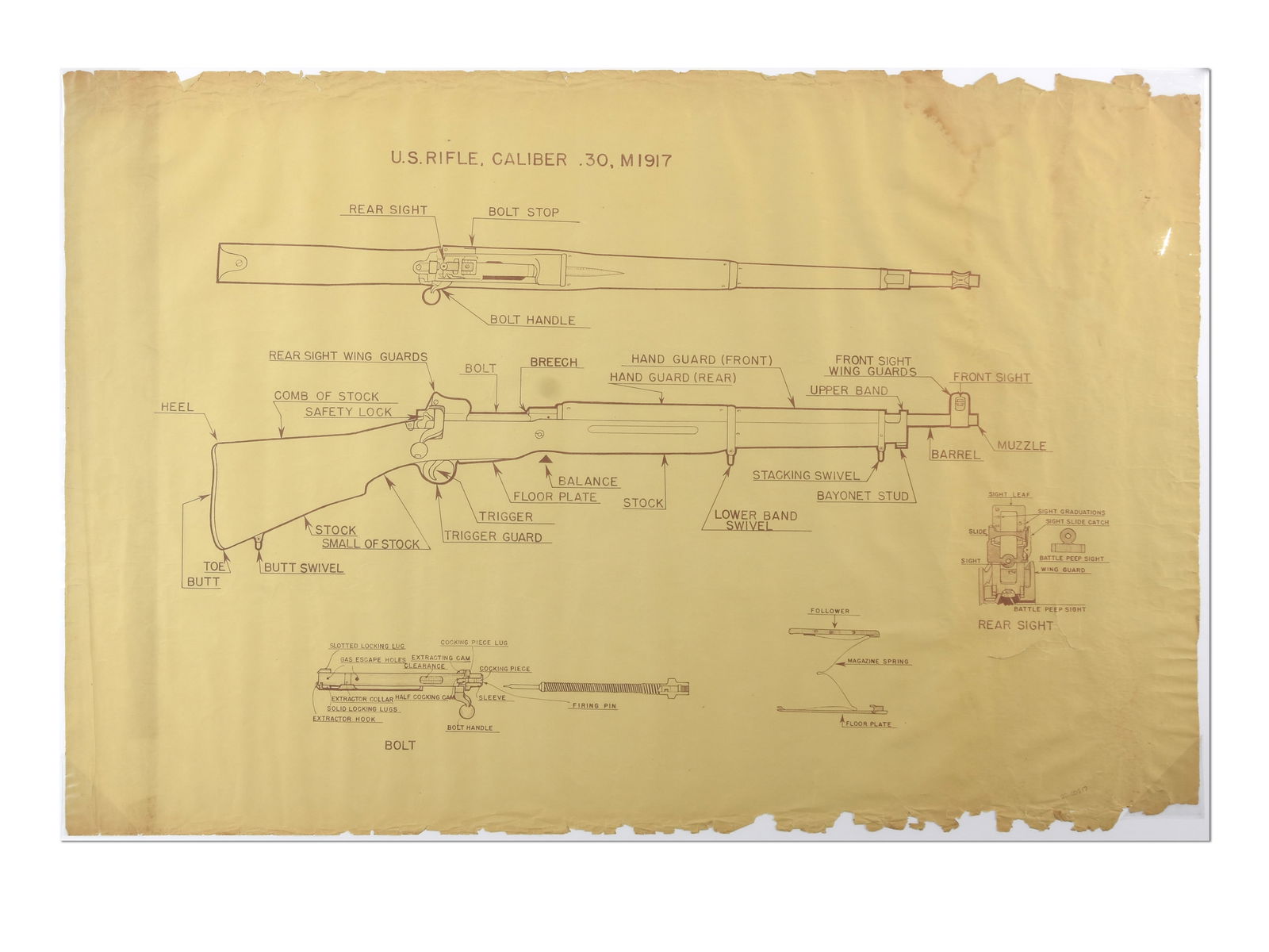 WWI-Era U.S. Army Instructional Wall Chart - M1917 Enfield Rifle (1 of 1)
