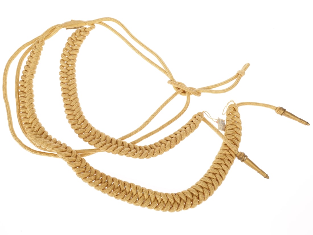 NSDAP Official's Aiguillette (1 of 4)