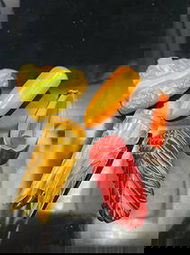 Lot of 5 Vintage Carved Bakelite Dress Clips & Pendants – Art Deco to Retro (1 of 7)