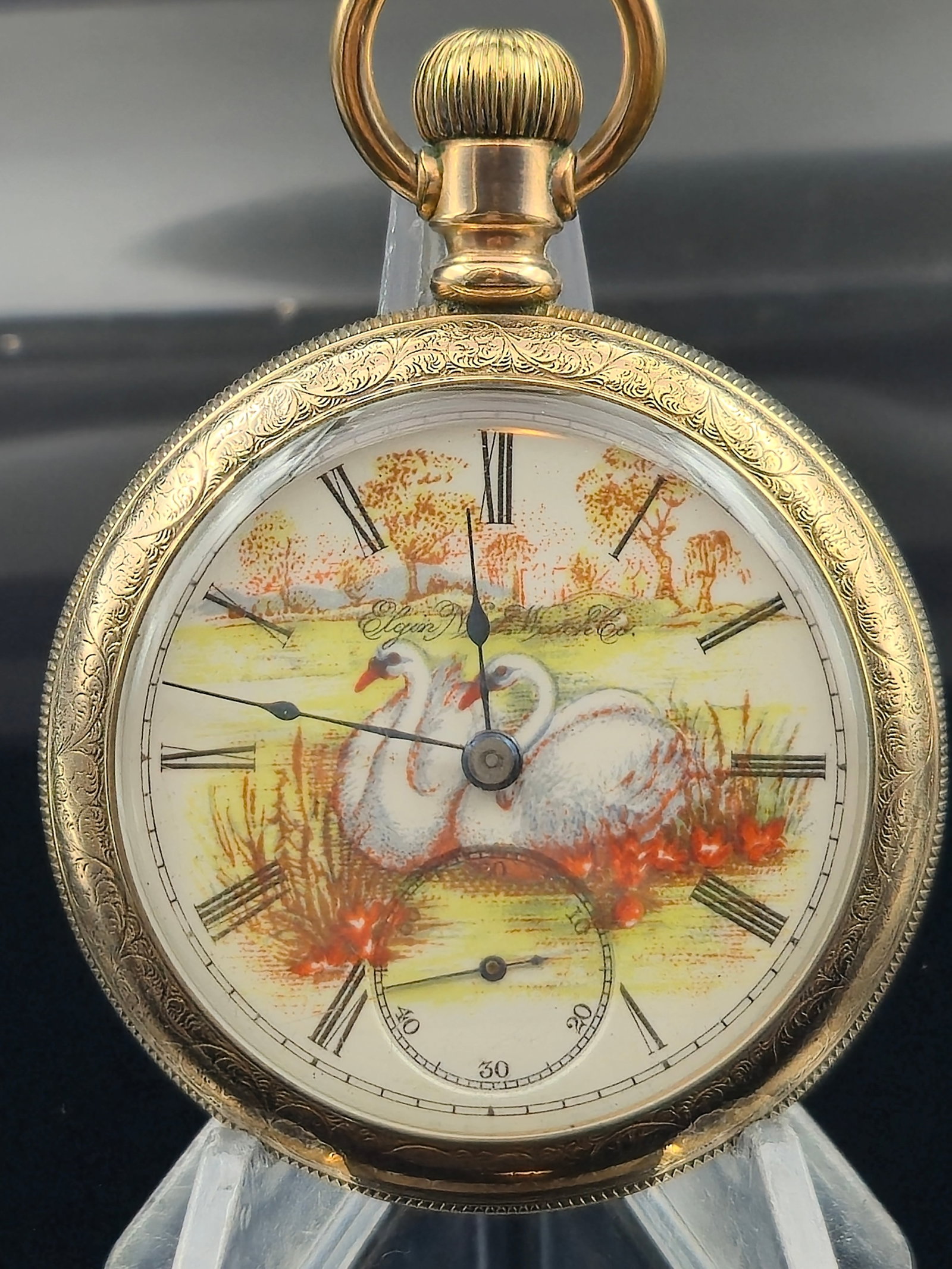 1902 Elgin Grade 208 18s 7J Fahys Montauk GF Pocket Watch – Swan Scenic Dial, Stag Engraving (1 of 9)