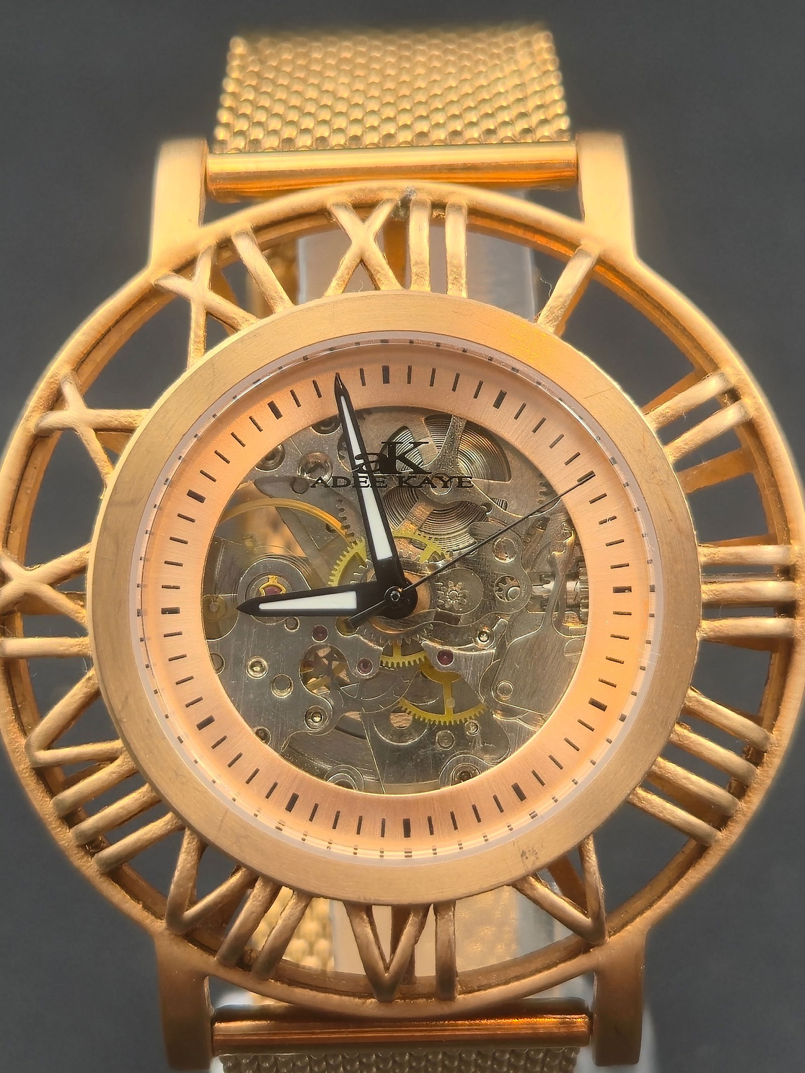2000s Adee Kaye Skeleton Automatic Gold Tone Watch Mesh Bracelet 48mm Runs Mint (1 of 9)