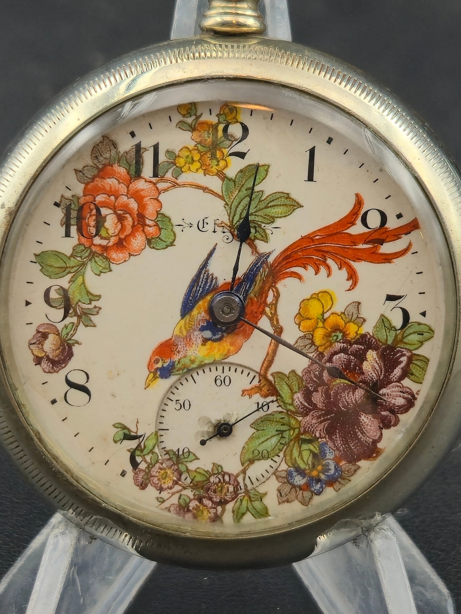 1910 Elgin Grade 294 18s 7J Pocket Watch Bird Floral Transfer Dial Silveroid Case Running: Vintage Elgin National Watch Company pocket watch featuring Grade 294 movement, Model 5, serial number 14241977, dating to approximately 1910. Gilt full plate movement with 7 jewels and “Safety Pini