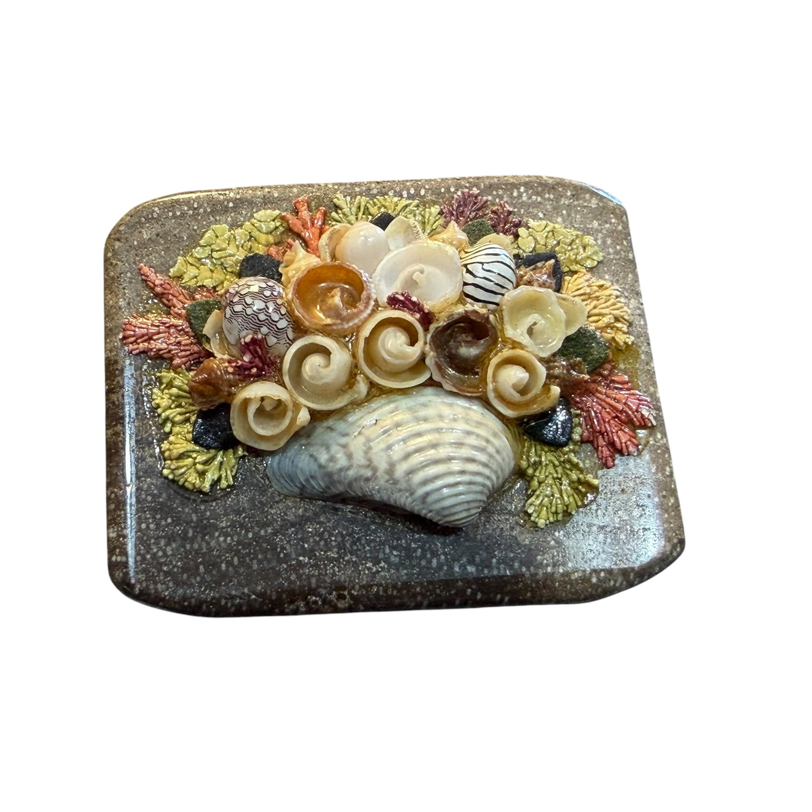 Vintage Pacific Coast Petrified Forests Brooch Pin Souvenir Walnut Wood 1.5”: Maker: Not artist signed, see label on backside. / Material: Petrified walnut wood. / Stone: Shells. / Size: 1 1/2” x 1 3/16”. / Condition: Great, ready to be enjoyed. / Sold as is. Measur