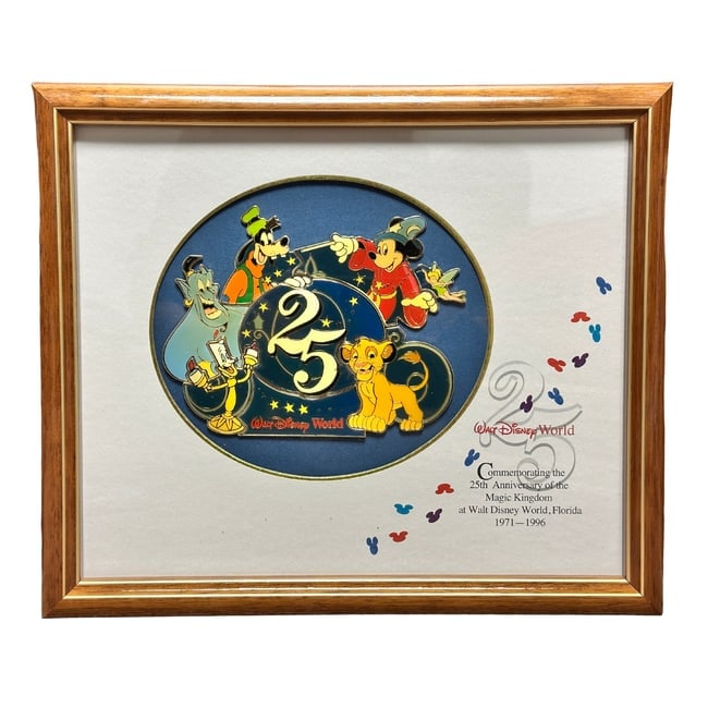 Disney Magic Kingdom 25th Anniversary Framed Pin Set (1 of 3)
