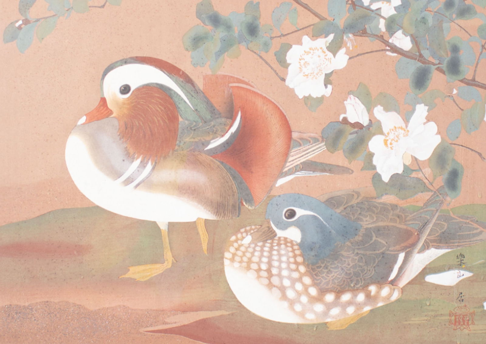 Tsuchiya Rakusan Woodblock "Flower and Bird Print Series" Camellia and Ducks: Japanese woodblock print by artist Tsuchiya Rakusan (Japanese; 1896-1976). From the Flower and Bird Print Series, this print is number 5 in the series and is titled Sasanqua Camellia and Man