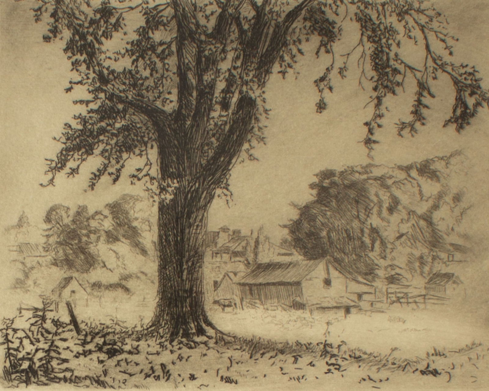 Louis Oscar Griffith "Giant Elm" Etching (1 of 3)
