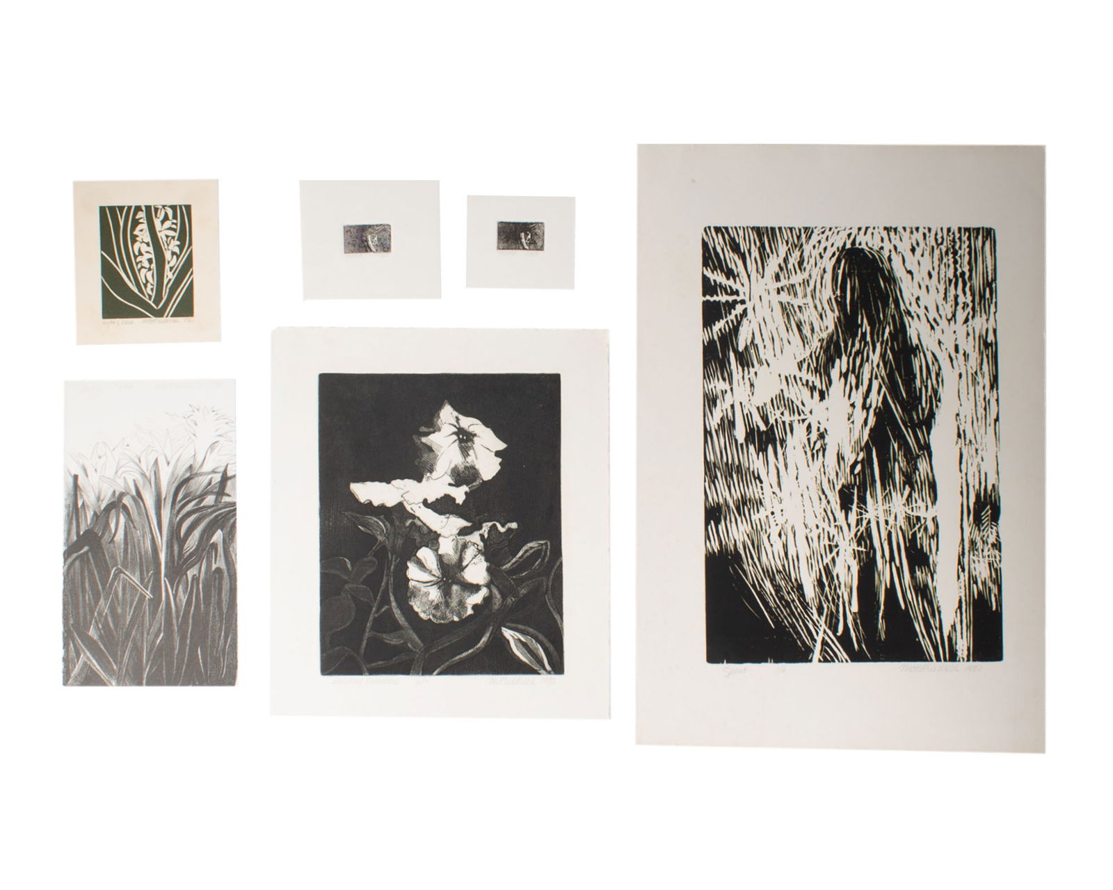 Marla Friedrich 1980s Woodcut, Etchings, and Lithograph Prints (1 of 6)