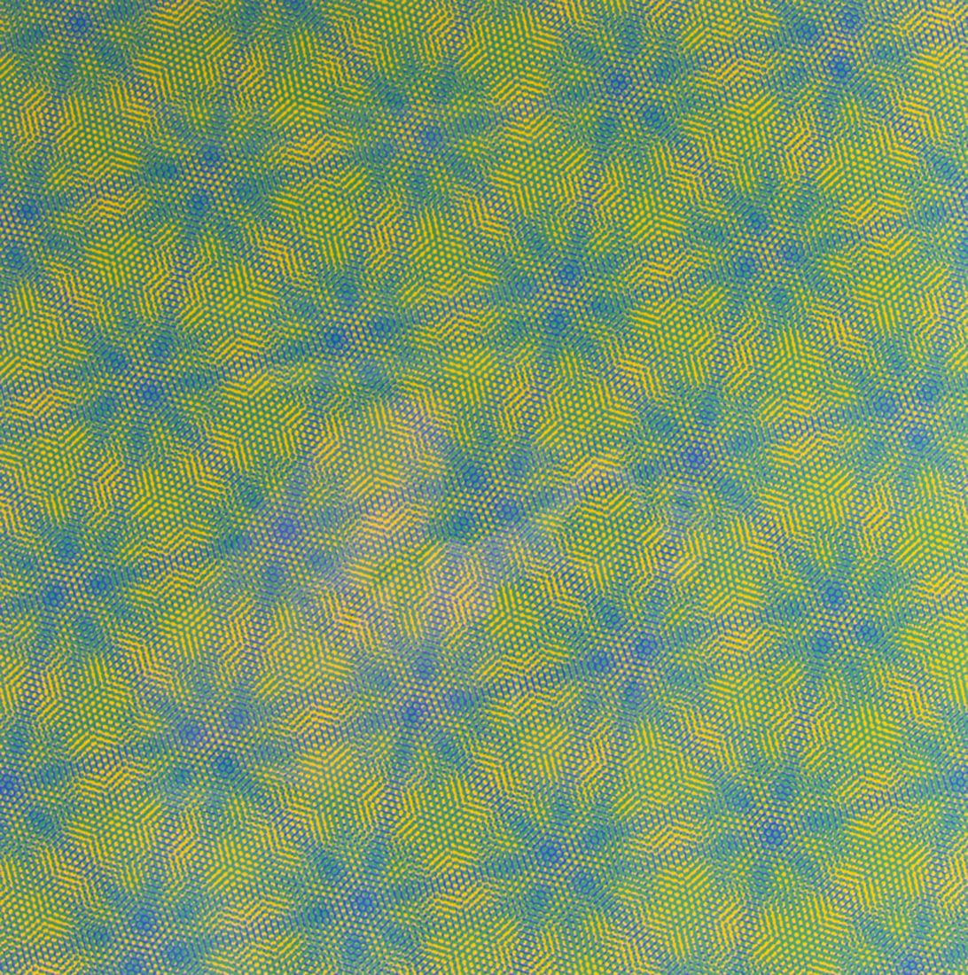 Josef Allen Levi 1969 “N-2G2Y" Op Art Screen Print (1 of 7)