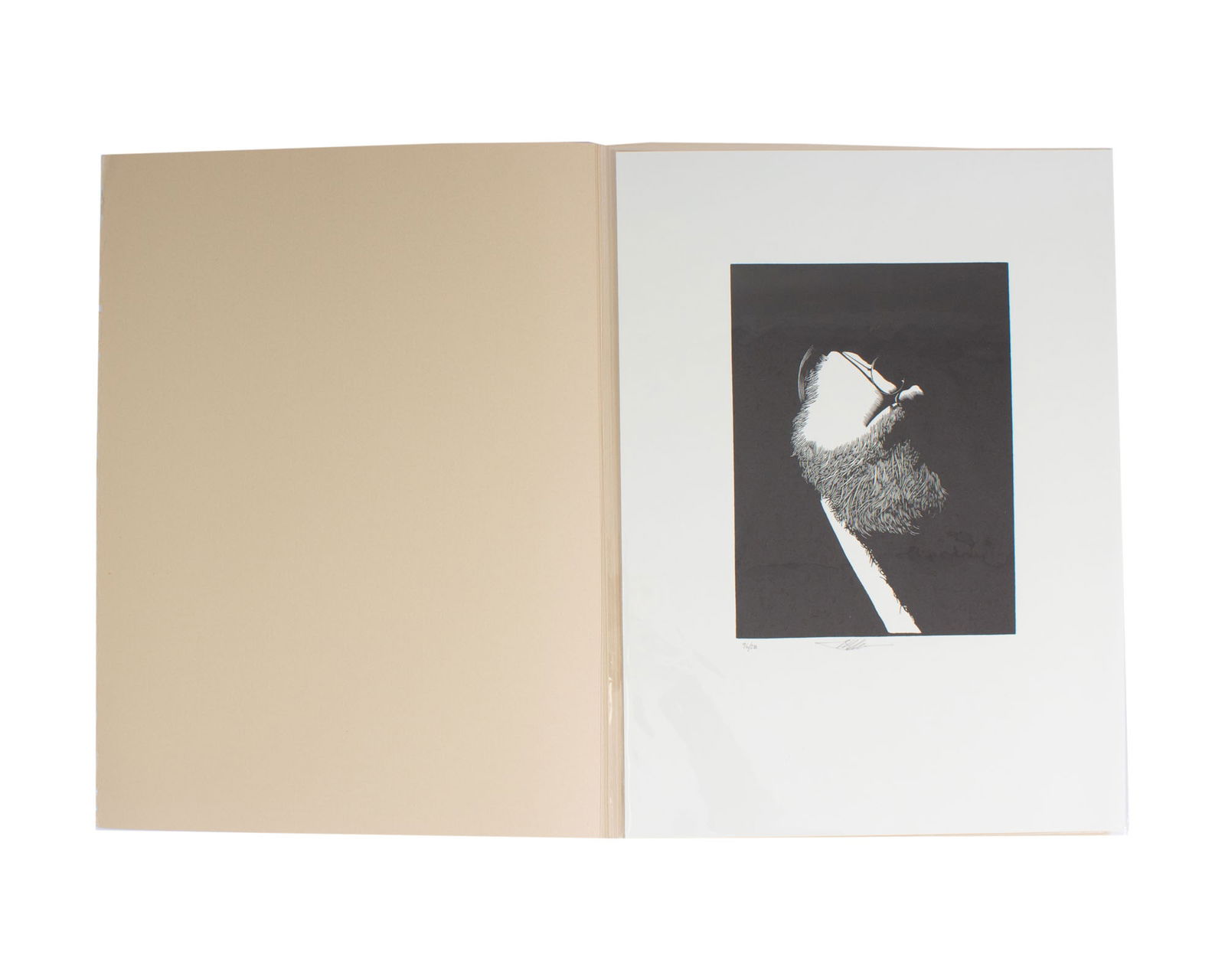 Barry Moser Limited Edition Wood Engraving (1 of 7)