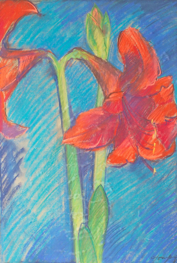Walter Stomps 1981 Chalk Pastel Drawing of Amaryllis (1 of 6)