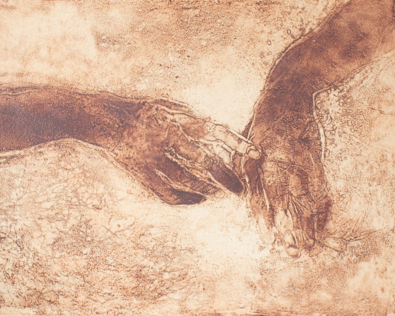 Walter Sorge Limited Edition Aquatint Print of Hands: Aquatint print of hands by Walter Sorge (Canadian; 1931-2021). Signed and numbered 1/50 lower edge. Measurements: 30" W x 26" H x 1.25" D (frame); 19.75" W x 15.5" H (p
