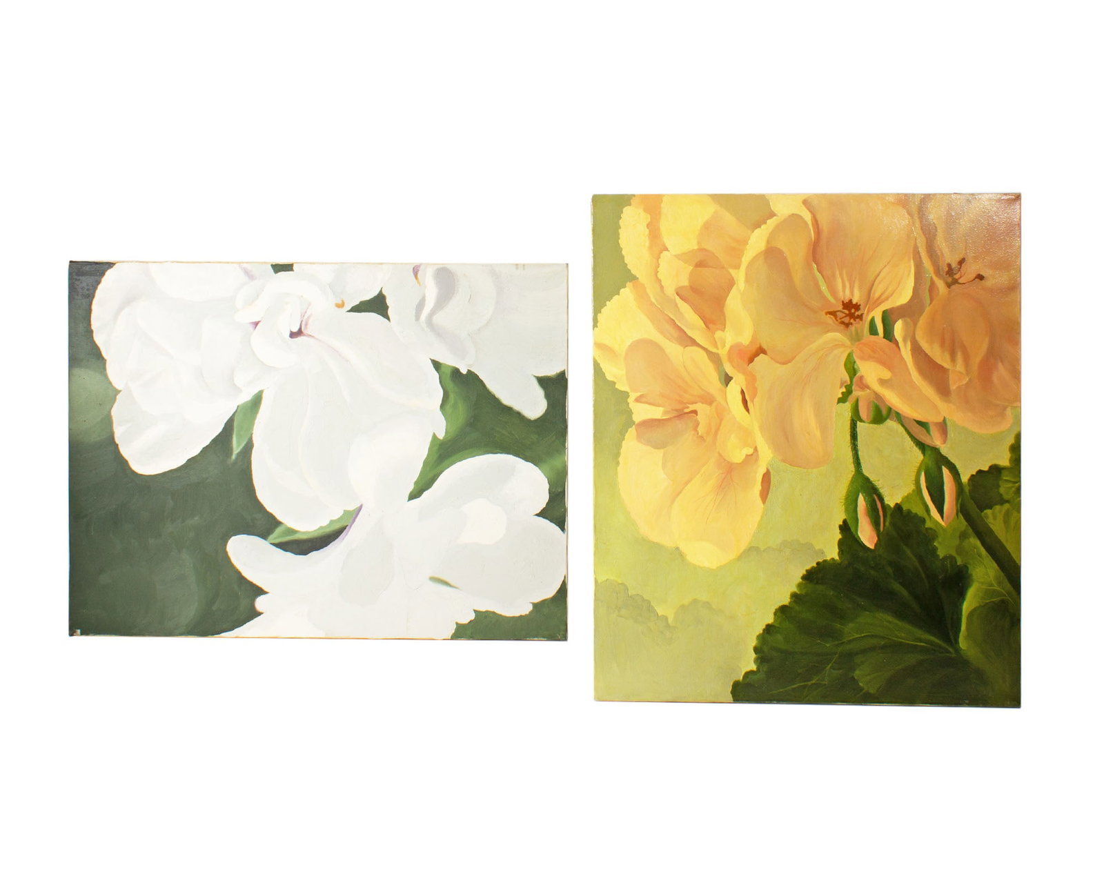 Jack Griffin Oil on Canvas Paintings of Flowers: Two oil on canvas paintings of flowers by Jack Griffin (American; 20th century). Unsigned. Measurements: 20" W x 24" H x .75" D (larger canvas). In house shipping av