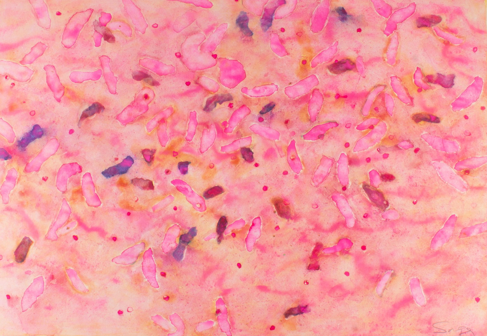Walter Sorge Pink Abstract Watercolor Painting: Pink watercolor painting by Walter Sorge (Canadian; 1931-2021). Signed lower right. Measurements: 38.5" W x 25.5" H (sheet); 23.5" W x 34.5"H (image). In house