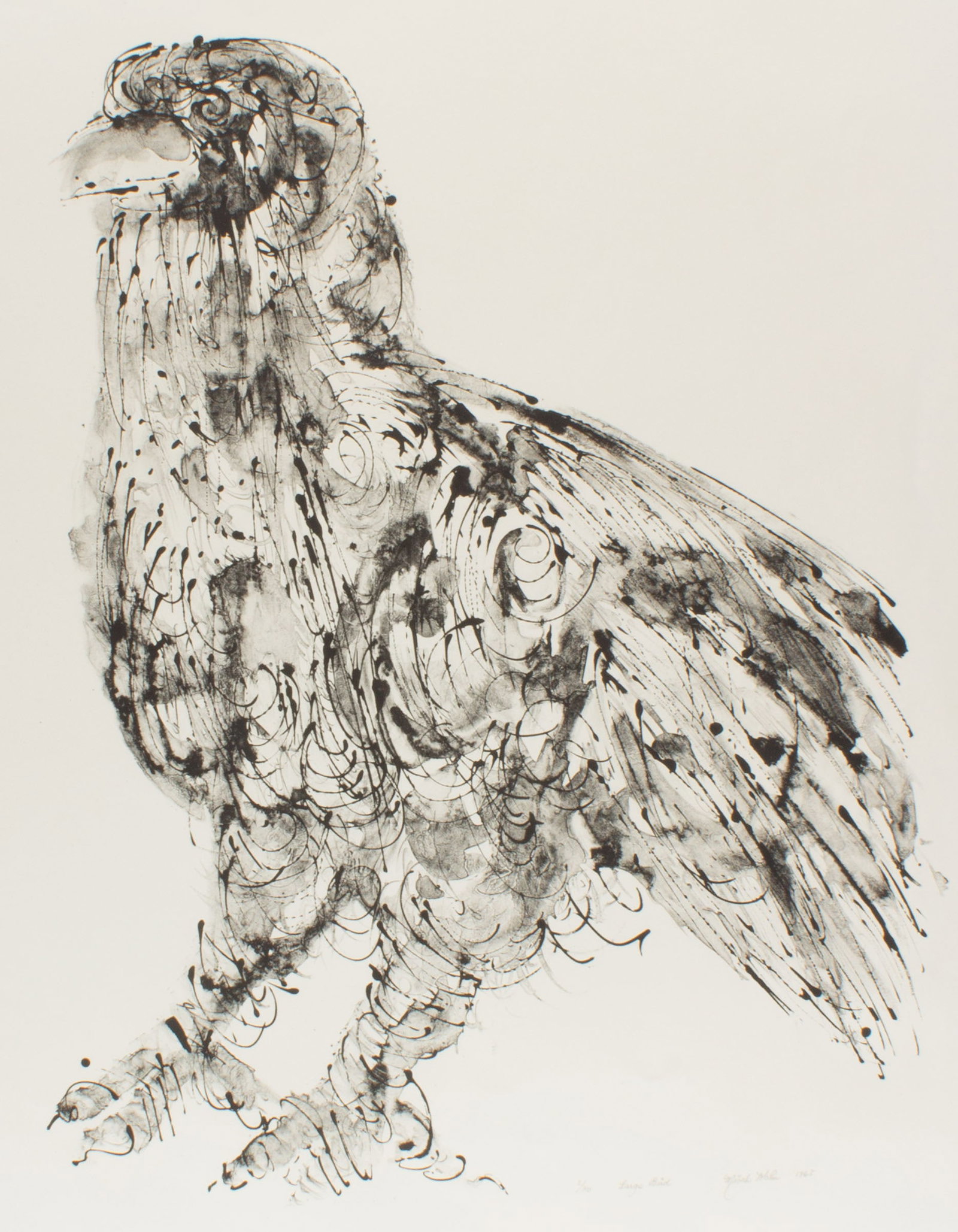Misch Kohn 1965 "Large Bird" Lithograph Print: 1965 lithograph titled Large Bird by Misch Kohn (American; 1916-2002). Signed, dated, titled, and numbered 2/50 lower right. Measurements: 25" W x 35.5" H (sheet). In