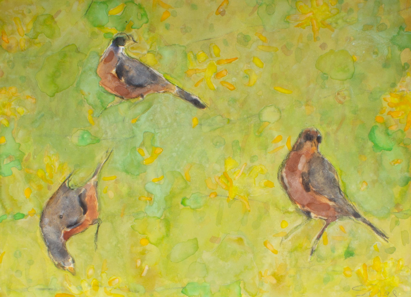 Walter Sorge Watercolor Painting of Robins (1 of 4)