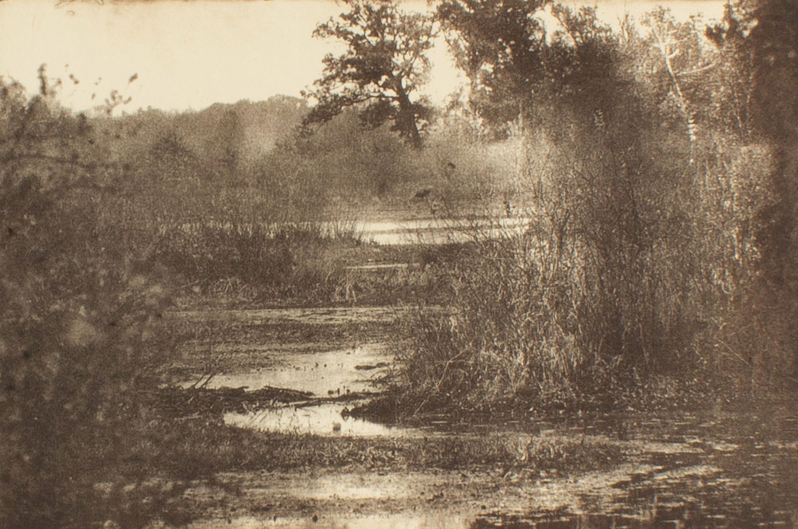Cynthia Blasingham 2004 "Jasper-Pulaski Wetlands IX" Intaglio Print (1 of 4)