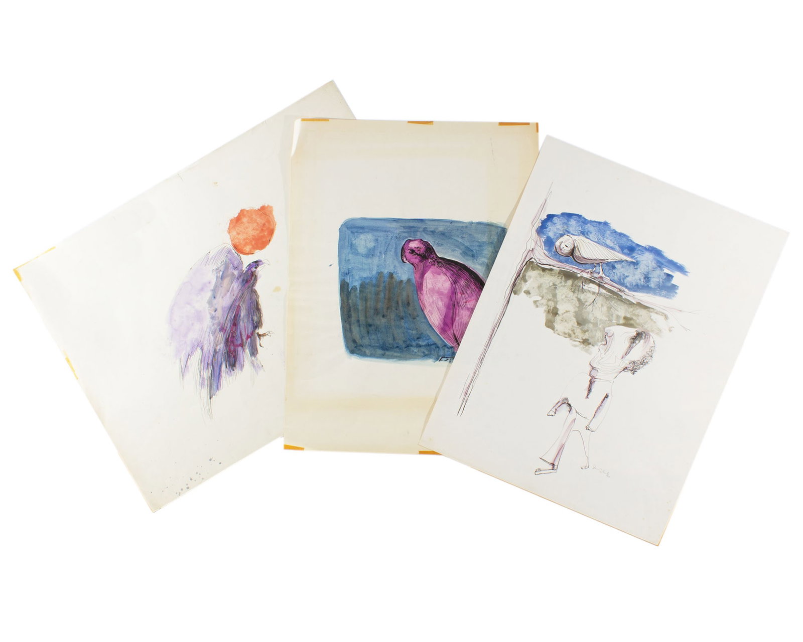 James L. Bruch 1964 Watercolor and Ink Paintings of Birds: Three 1964 watercolor and ink paintings of birds by James L. Bruch (American; 1942-2023). Each work is signed and dated. Measurements: 19.75" W x 26" H (largest sheet). In
