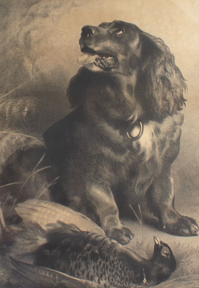 After Sir Edwin Henry Landseer "A Sussex Spaniel and a Pheasant" Print (1 of 3)