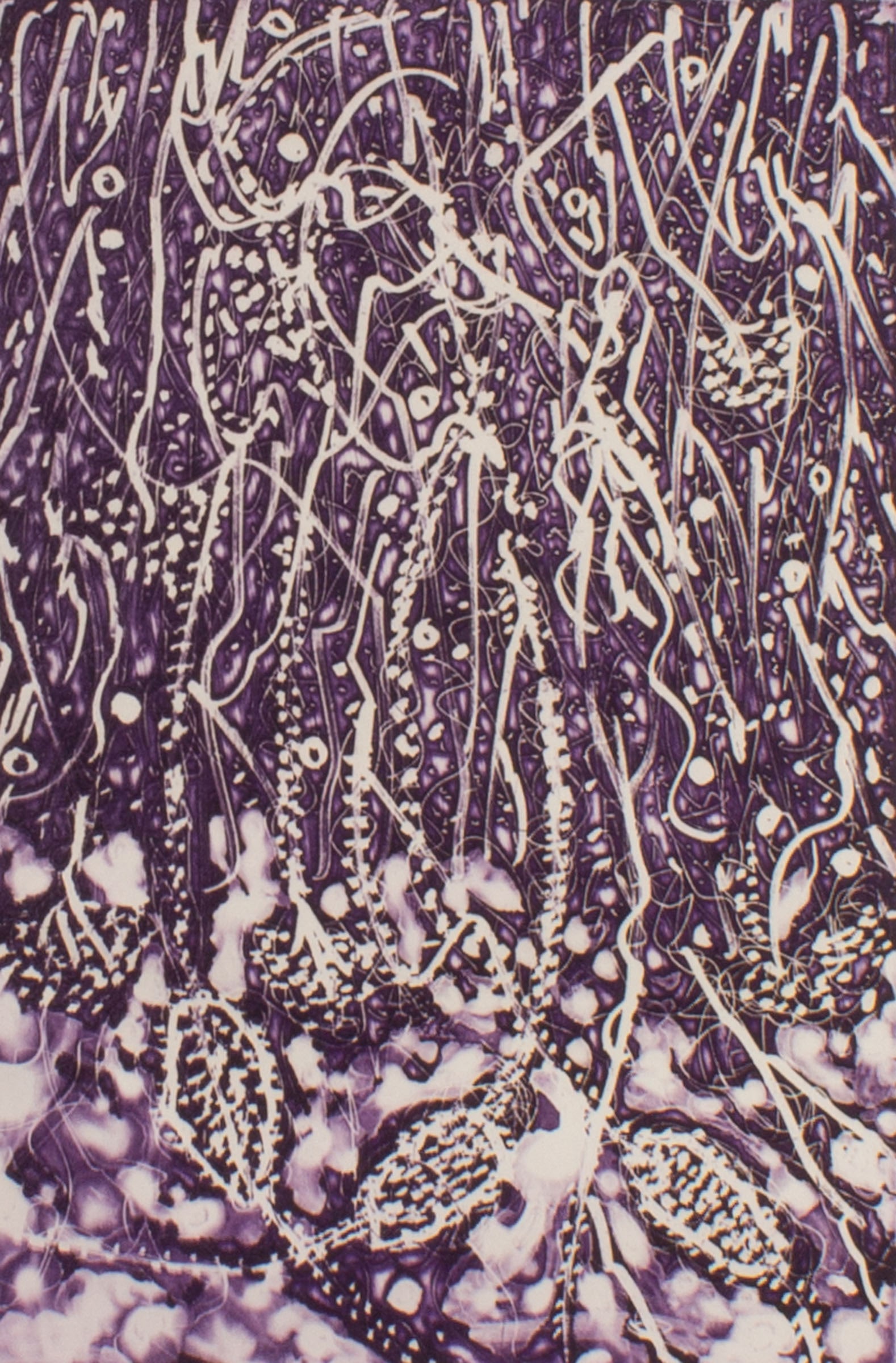 Cynthia Blasingham 2006 "Wetlands in Deco" Intaglio Print (1 of 5)