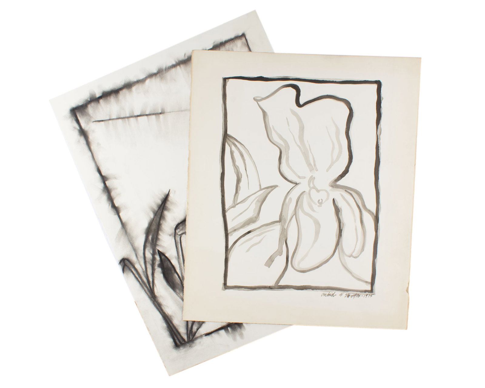 Walter Stomps Drawing and Painting of Flowers (1 of 5)