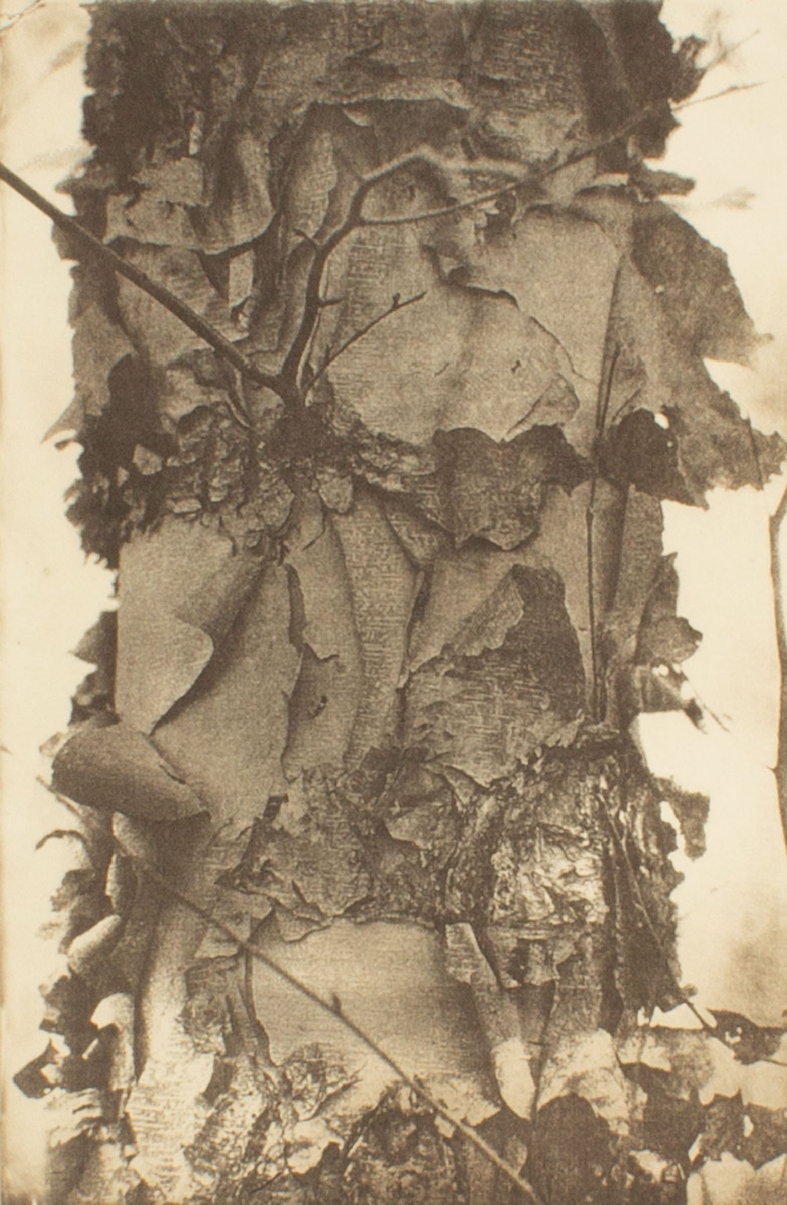 Cynthia Blasingham 2004 "Jasper-Pulaski Wetlands II" Intaglio Print: 2004 intaglio print, titled Jasper-Pulaski Wetlands II, by Cynthia Blasingham (American; 20th/21st century). Titled, numbered, dated, and signed to lower edge. Measurements: